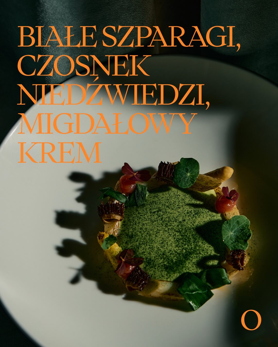 Białe szparagi to niekwestionowany król polskiej wiosny, kojarzony z wyczekiwaniem na pierwsze, ciepłe dni. W naszej tradycji kulinarnej od zawsze traktowano je z ogromnym szacunkiem za ich subtelny, maślany smak i charakterystyczną kruchość, która wymaga wyjątkowo delikatnego traktowania.
Z kolei czosnek niedźwiedzi to zwiastun budzącego się lasu. Zbiera się go w zacienionych, wilgotnych dąbrowach tuż po ustąpieniu mrozów. Przynosi ze sobą intensywną, ale niezwykle rześką zieloną nutę - ma w sobie charakterystyczną czosnkową pikantność, ale jest od klasycznego czosnku o wiele lżejszy i bardziej trawiasty.