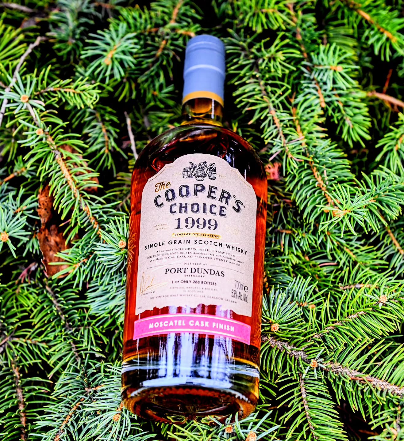 Beauty is in the eye of the beholder or something something.
To me this is gorgeous. Spring had sprung in the great white north and everything is looking a little more vibrant lately.
Speaking of vibrant, this 20 year old Port Dundas single grain released by Coopers Choice from @vintagemaltwhisky is a lively little number. Finished in a Moscatel cask and bottled at a cask strength of 53% abv. This is full of grain whisky notes such as toffee, wood notes, with a light yet effervescent profile and the Moscatel brings a bit more with some light spring berry flavours. Cherry and boisonberry, and maybe even a touch of earthiness comes through. A perfect sipper for a warmer spring evening.
.
.
.
.
.
#whisky #singlegrain #cooperschoice #portdundas #moscatel