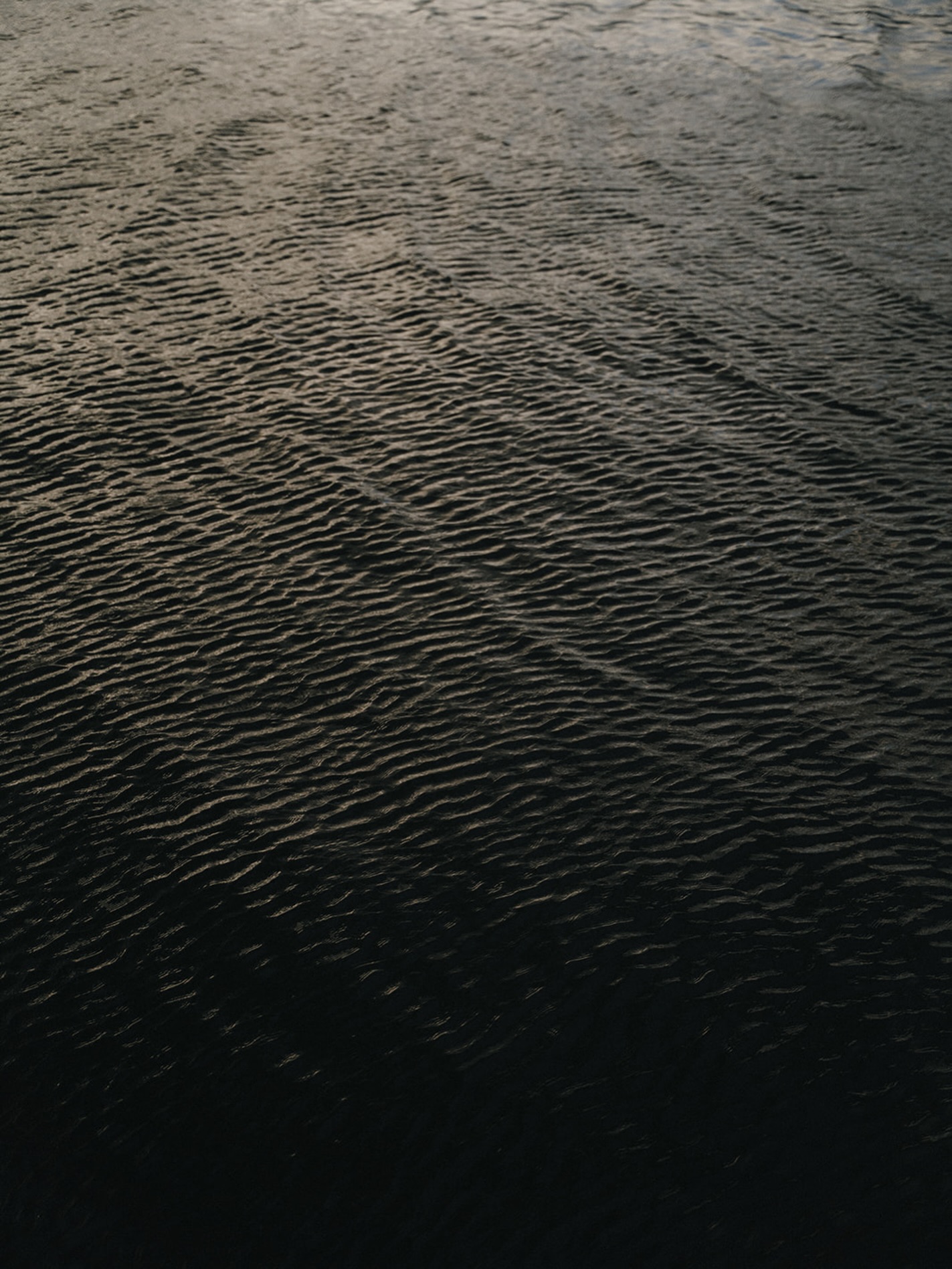 The depths, 2026.