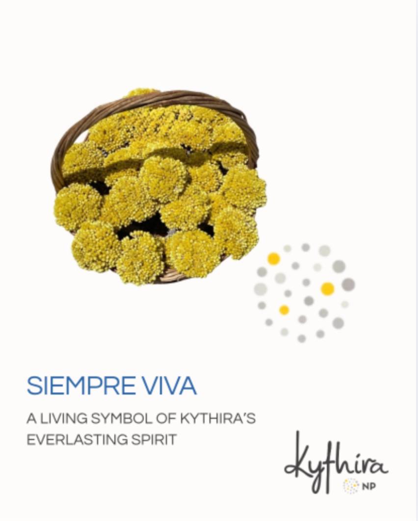 Gracing the cliffs and hillsides of the Island of Kythira, there’s a flower that never fades called Siempre Viva, meaning "live forever." This small wild bloom has become a symbol of life that endures, its presence lasting for generations.
For Chef, it carries a quiet reminder of where he comes from and the stories that shape him. So much so, you can find it living within our logo. Like the island and the sea that surrounds it, the siempre viva reminds us that some things are meant to last — memories, traditions, and the spirit of togetherness.
Every detail at Kythira NP is meant to be shared with our guests. Watch Chef share its meaning with you.
#KythiraNP #NYCRestaurant #GreekCuisine
