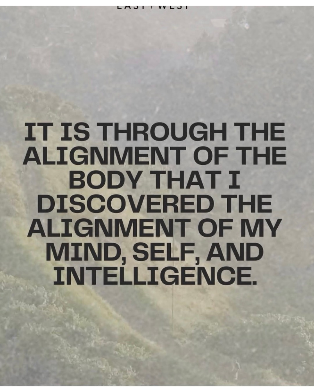 Peacethoughyoga.org
#PeaceThroughYoga #YogaJourney #MindBodySoul #InnerPeace #YogaLife #Alignment #YogaEveryDay #FindYourPeace #YogaInspiration #WellnessJourney #Namaste #BreatheAndFlow”