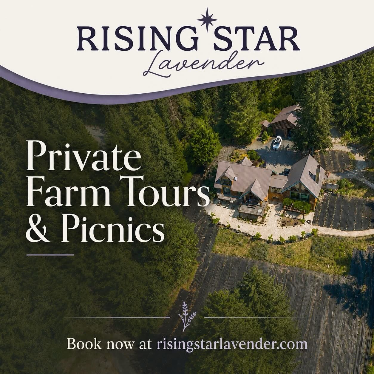 Experience the magic of a private lavender farm getaway in Hayden, Idaho.
Rising Star Lavender Farm offers guided farm tours, private picnic setups, tour + picnic combos, and golden hour sessions surrounded by peaceful lavender fields and North Idaho beauty. Whether you’re planning a family gathering, girls’ day out, bridal celebration, anniversary date, proposal, team outing, or photo session, this is a beautiful way to slow down and enjoy the farm.
Bring your favorite wine, charcuterie, or picnic foods—we’ll provide the lavender-filled setting.
Book now at risingstarlavender.com
#RisingStarLavender #LavenderFarm #NorthIdaho