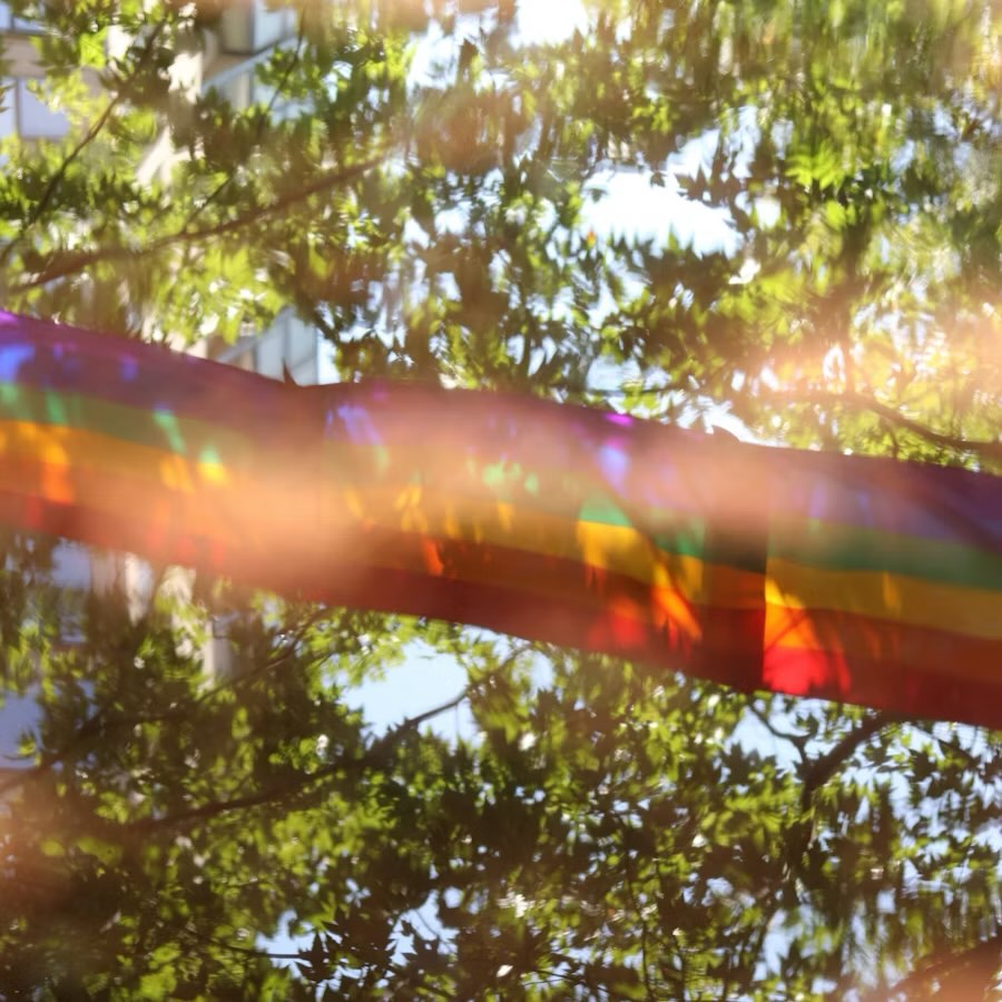 hey queers, morn isch wieder Otherside-Treff!
Abem 19:00 Uhr, La Buena Onda: Lämmlisbrunnenstrasse 51, 9000 St. Gallen. Mir freued üs uf eu🌈❤️