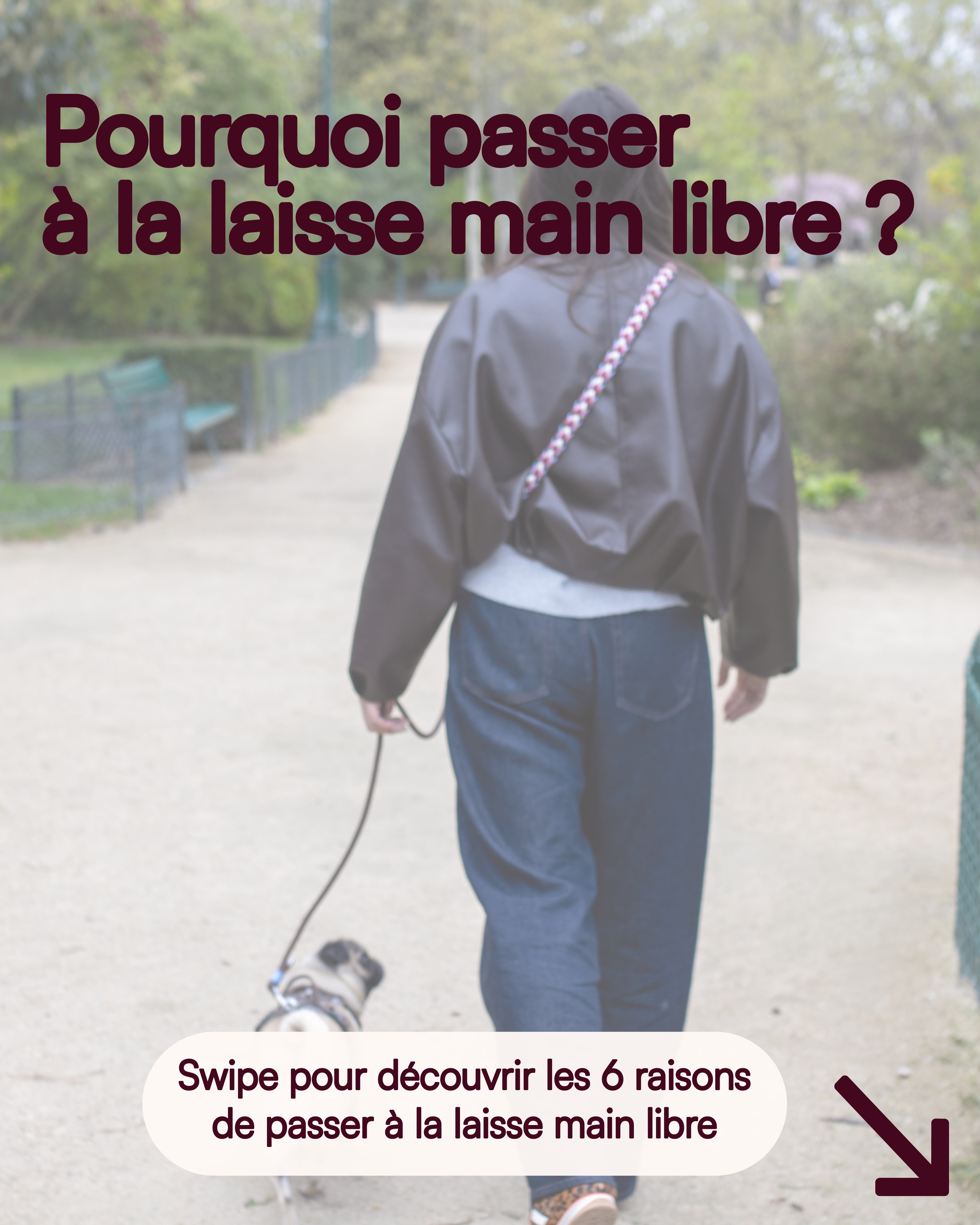 La laisse qui change la balade. 🐾