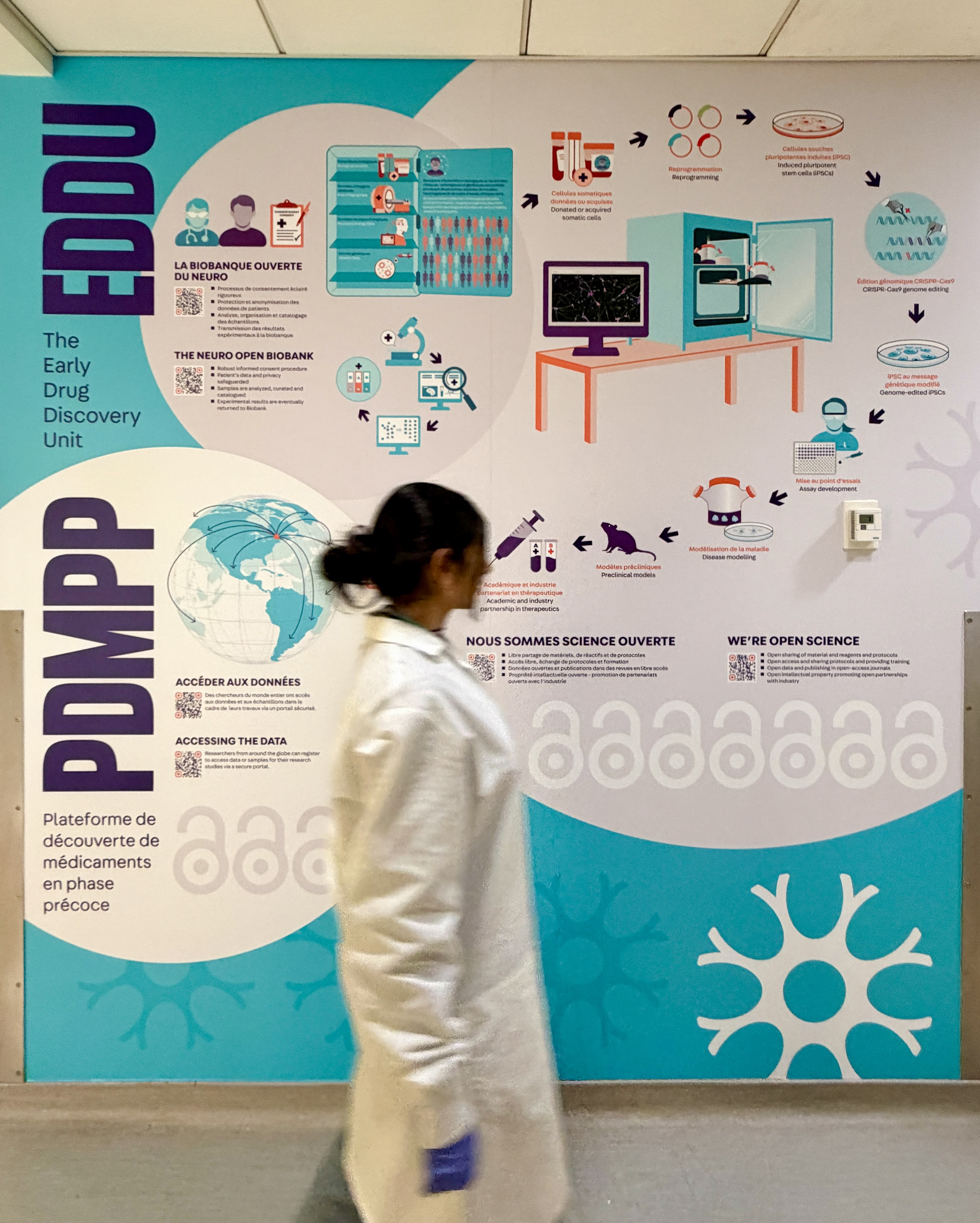 We are thrilled to unveil our new poster, just in time for upcoming tours showcasing the collaborative efforts between EDDU and the Neuro Biobank in neurodegenerative research 🙌🏼
#research #iPSC #biobank #neuroscience
Credits: The Neurocomms