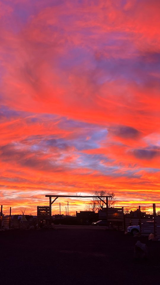 Golden hour hits different out here.
Private hot tub. Cool canyon air. A sky that goes on forever. 🌄
Some places are loud. The Outpost isn’t one of them.
A few May stays are still available. Use code SPRINGRESET20 and come reset in the desert.
#TheOutpostGrandcanyon #StayAtTheOutpost #DesertSunset #GrandCanyon #AirstreamAdventures