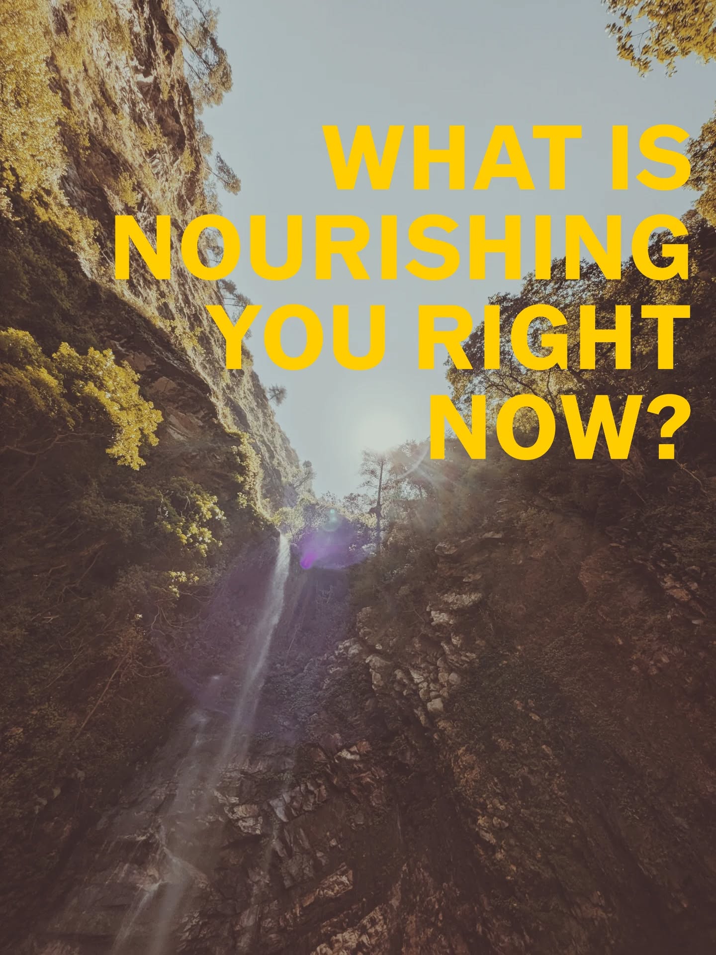 Just a simple question to pin in your internal soft board. 📌📄
Lots of love,
Maitreyi 💜✨☘️