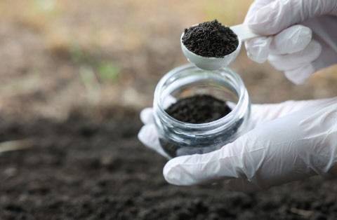 Wet and windy? That’s no problem...you can always test your garden soil, whatever the weather, unless the ground is frozen. Check out #SafeSoilUK now for all of the soil testing options for all types of gardens!
https://www.safesoil.co.uk/
#soiltesting #soilscience #urbangarden