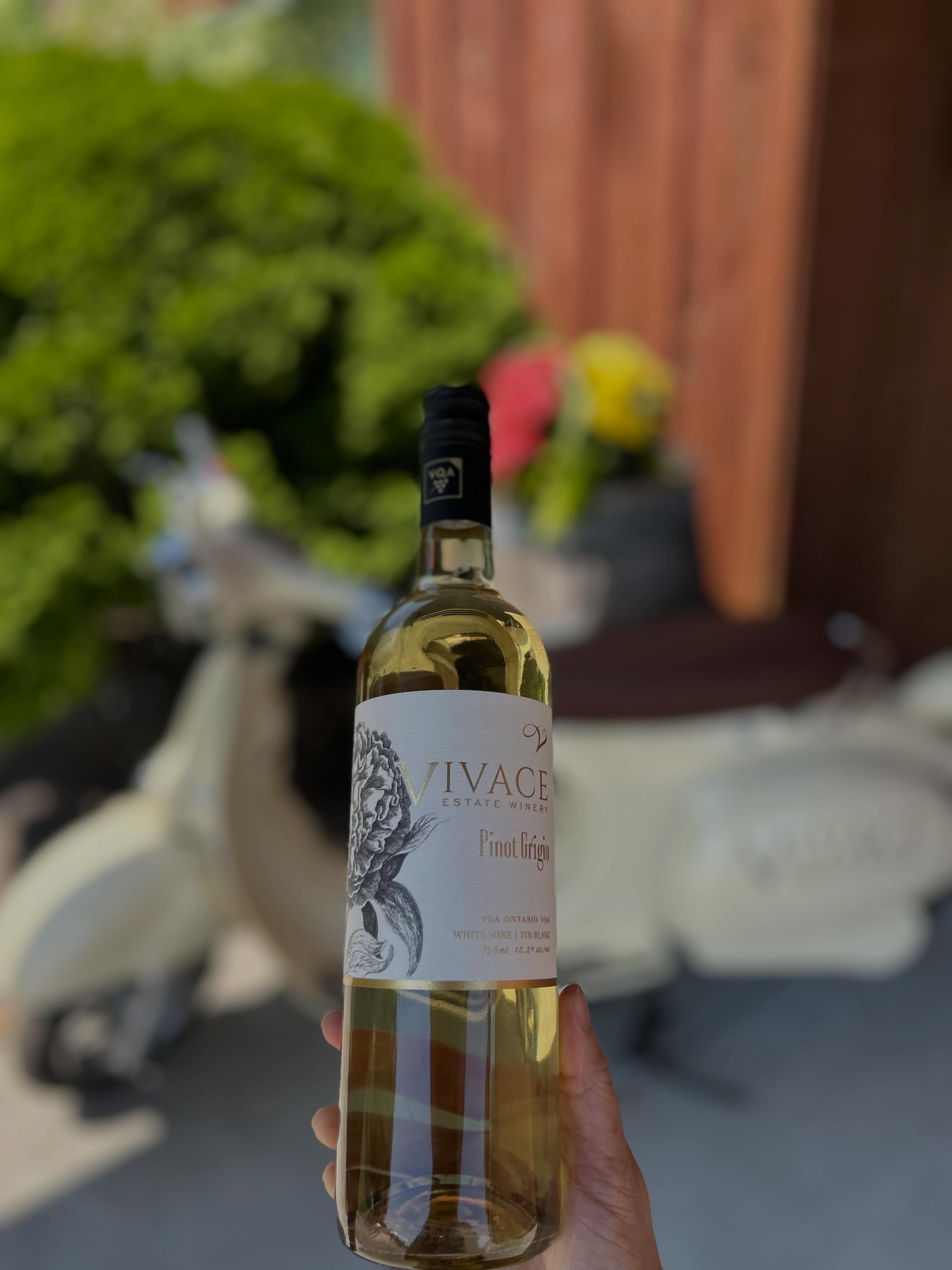 Happy International Pinot Grigio Day! 🥂
Celebrate with our crisp VQA Pinot Grigio 2025, bursting with delightful notes of peach and apple, balanced by a bright, refreshing finish. 🍑🍏
What tasting notes do you pick up in our Pinot Grigio?
Available at our retail store and selected LCBO🍇
#vivacewine #lcbo