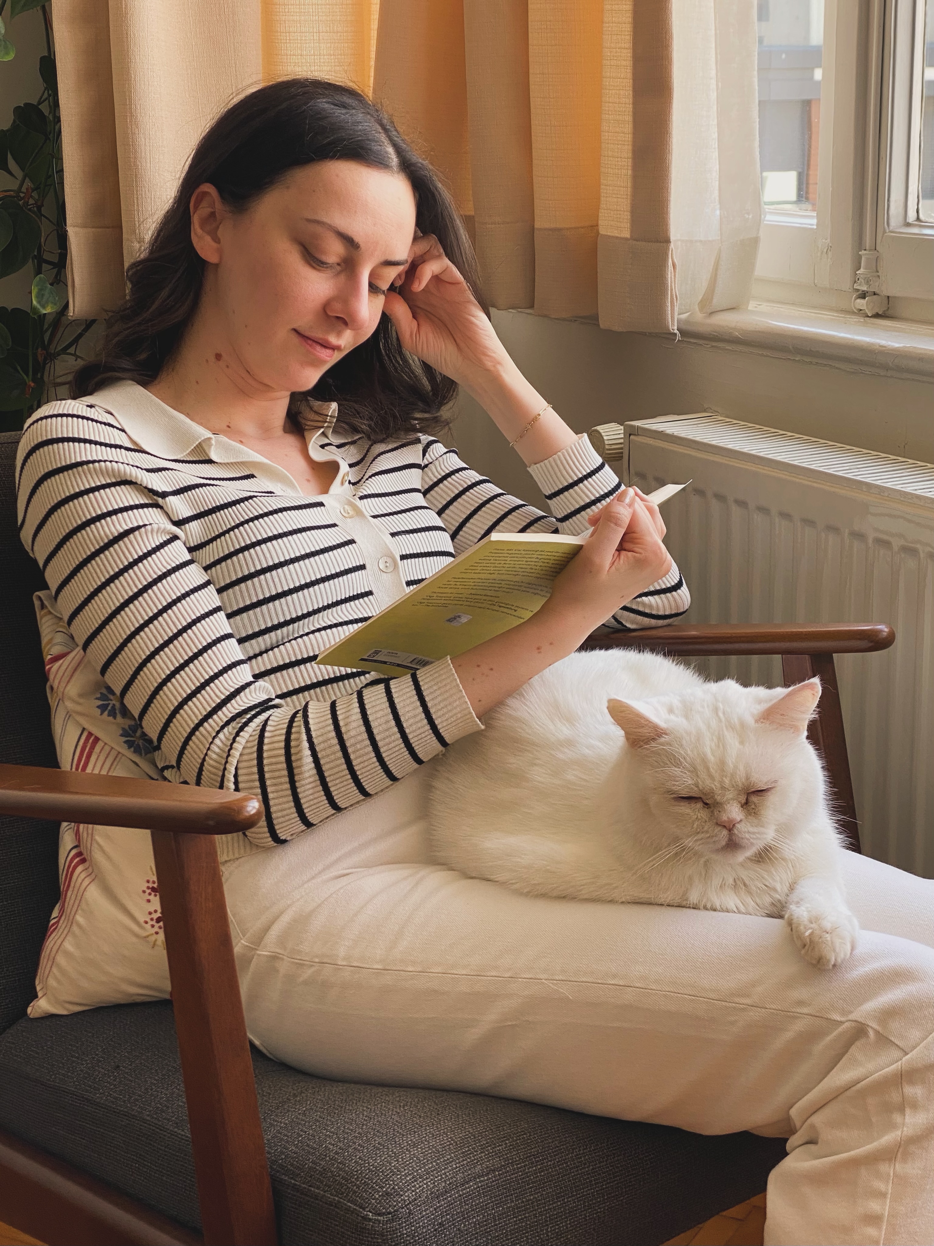 A slow sunday at Mazu HQ βοΈ
.
.
.
#cats_of_instagram #slowsunday #creativelifehappylife #designstudio #illustratorsofinstagram