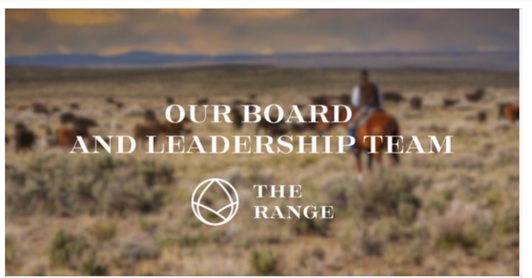 The RANGE is guided by a diverse group of local business and industry leaders who are committed to the future of the Texas Panhandle. We focus on building relationships and collaborating with businesses across our area to identify challenges, develop solutions, and ensure the Panhandle is prepared for the next decade and beyond. Visit the link in our bio to learn more about our leadership and mission. #TheRANGE