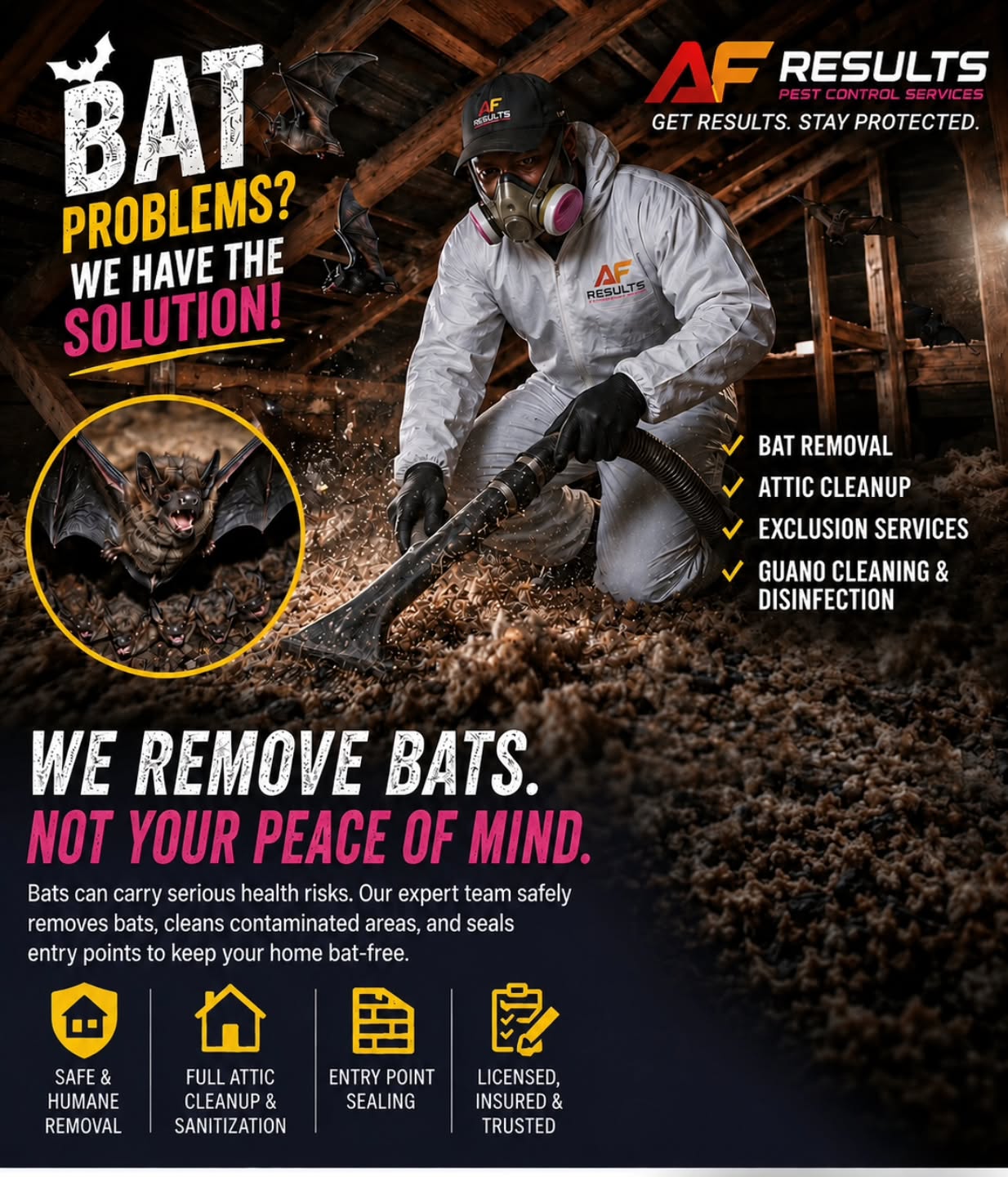 #bats#afresults#pestcontrol #barbados🇧🇧#entrepreneur