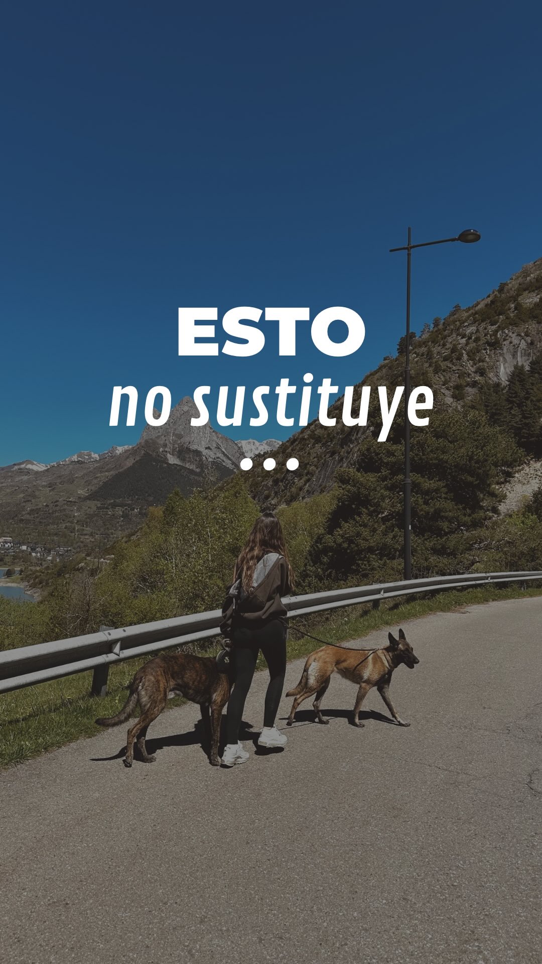 Un perro tiene un conjunto de necesidades biológicas, físicas y emocionales.🐕
El bienestar no está en los extremos, sino en encontrar el equilibrio.⚖️
Por eso, la cinta de correr, el entrenamiento de defensa o un paseo estructurado son complementos fantásticos para su físico y su mente... pero no sustituyen el valor de dejarlo ser perro: olfatear libre en la montaña, comer hierba, o saber jugar tranquilo con un niño.
El verdadero equilibrio nace de entender y satisfacer TODAS sus necesidades.💛
¿Cómo encuentras tú ese equilibrio con tu compañero? 👇
#dogtraining #educacioncanina #dutchshepherds #bienestarcanino #maresme