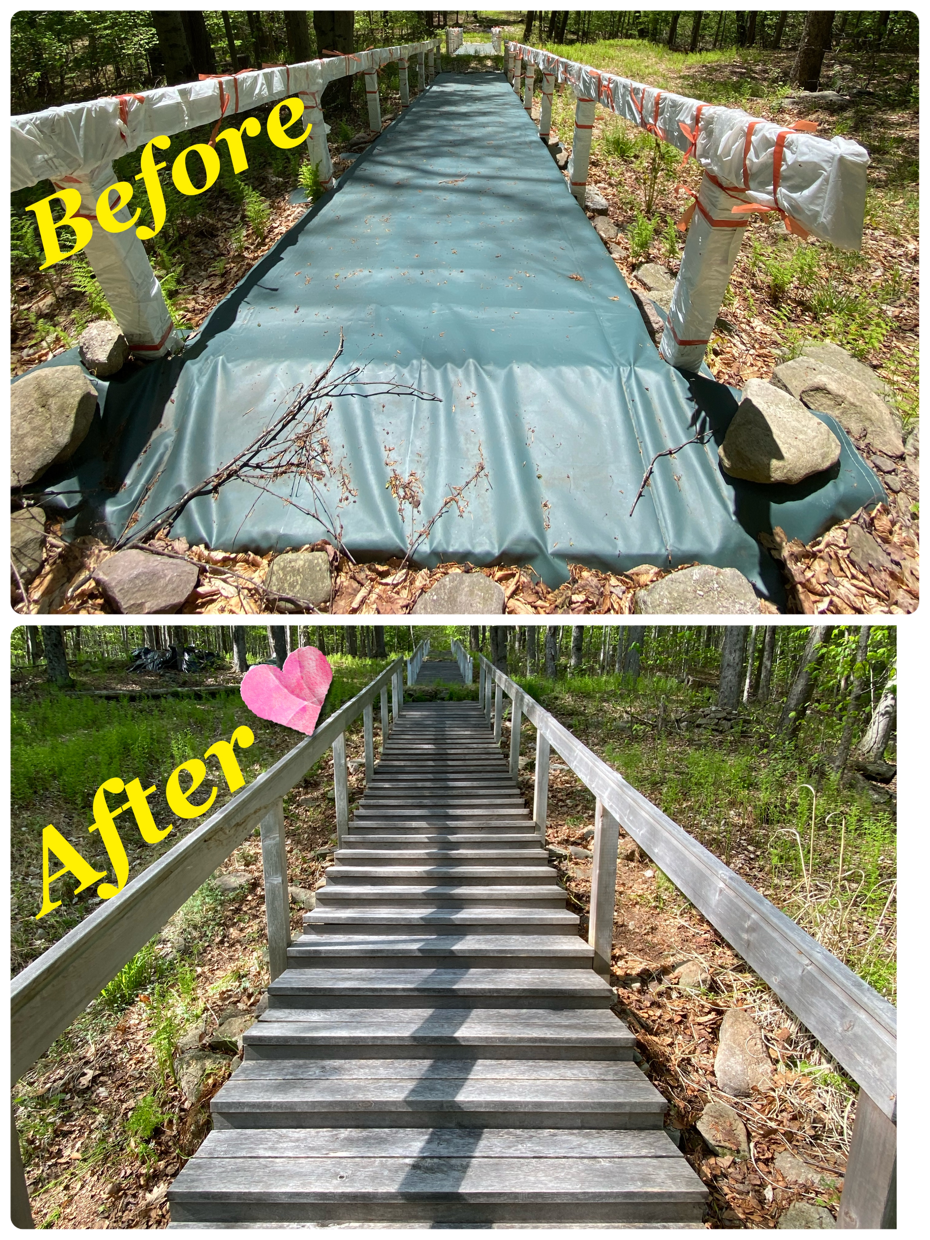Happy Spring! ☆We are looking for volunteers to work with beautiful nature!☆
Honzo Haven’s 108-step staircase has awakened from its winter slumber once again this year. On Sunday, our volunteer group gathered under a clear blue sky! Our mission this time was to remove the covers from the 108-step staircase—a true symbol of Honzo Haven.
As soon as we stepped into the great outdoors, we were greeted by crisp air, warm sunshine, and the chirping of birds. Just being able to work in an environment like this was enough to lift our spirits! As for the weeds…There were surprisingly few! To be honest, before we started, I was a little worried that “the area around the stairs might be overgrown with weeds…” But thanks to this year’s long, bitterly cold winter, weed growth was more suppressed than usual. This made for a much easier working environment, and things went smoothly right from the start!
First, we carefully removed the plastic wrap that had been wrapped around the handrails to protect the wood. Then, we wiped down the heavy stair covers thoroughly with rags as we took them off one by one. Some spots were a little damp, but that’s all part of the charm. The 108 steps, having weathered the long winter, stood tall and proud once the covers were removed. It’s the start of the season when the stairs at Honzo Haven will once again welcome many visitors🌿
#catskills #npo #spring
☆.・:゜。☆☆・:゜。☆.・:゜。
Please apply to get Honzo Haven original T-shirts to support us!
Apply→https://forms.gle/wPU7E9h2fcSLqo7X6
contact@honzohaven.org
☆.・:゜。☆☆・:゜。☆.・:゜。
🌞快晴のボランティア日和!Honzo Havenの108階段、今年も冬眠から目覚めました。日曜日、青空の下でボランティアグループが集合! 今回のミッションは、Honzo Havenのシンボルである108階段のカバー外しです。
大自然の中に一歩踏み入れると、澄んだ空気と気持ちのいい太陽の光、そして鳥のさえずりが出迎えてくれました🍀
雑草は…意外と少なかった!
実は作業前、「階段まわりが雑草でぼうぼうになってるのでは…」とちょっぴり心配していたんです。でも、今年の冬は長くて極寒だったおかげか、雑草の成長がいつもより抑えられていました。おかげで作業がしやすい環境で、スタートから順調!
いざ、カバー外し作業スタート!
まずは、手すりの木を守るために巻かれていたラップを丁寧に取り外すところから。そして、重い階段のカバーを雑巾でしっかり拭きながら、一枚一枚外していきます。場所によっては少し濡れている箇所もありましたが、それもご愛嬌。長い冬をしっかり耐え抜いた108階段は、カバーが外れるとどんと堂々と君臨していました。なんだか頼もしい!
Honzo Havenの階段が、また多くの人を迎えてくれる季節の始まりです🌿 いつも温かいご支援ありがとうございます!
☆・:゜。☆.・: ☆☆・:゜
Honzo HavenオリジナルTシャツのお申込はこちらからとなります☆→https://forms.gle/vK5AE8XUwzYhuqcw9