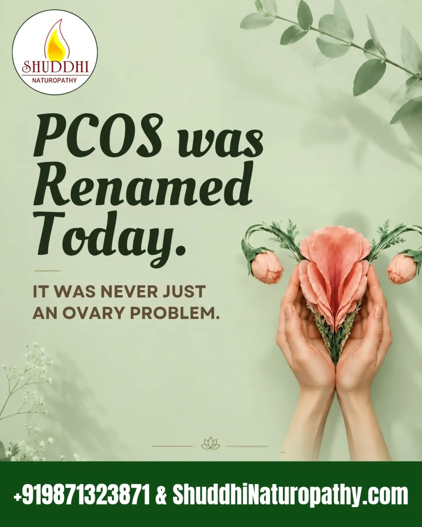 PCOS is now often referred to as PMOS (Polycystic Metabolic-Ovarian Syndrome) 🌿
This updated term reflects a deeper understanding of the condition—not just as an ovarian issue, but as a metabolic and hormonal imbalance. It highlights how factors like insulin resistance, inflammation, and lifestyle play a key role in its development.
PMOS focuses on the root causes, including metabolism, hormonal health, and overall body function, rather than only ovarian symptoms. This shift helps in creating more effective and holistic approaches for management and care.
Understanding this change can help individuals make more informed decisions about their health 💚
#PCOS #PMOS #HormonalHealth #WomensHealth #HealthAwareness 🌿