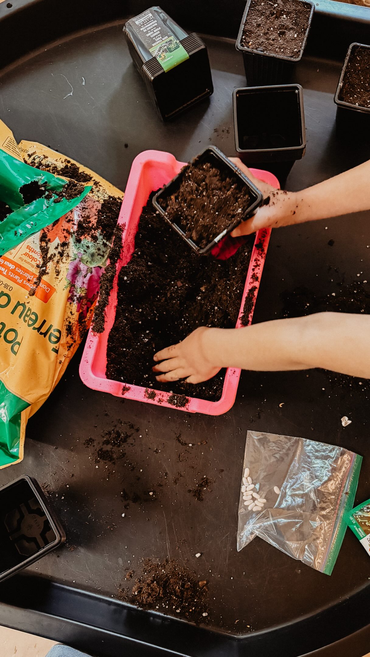 En début d’année, @camoli_mobilier nous ont fait découvrir cette table sensorielle tant appréciée! ❤️
Ce matin, nous l’avons utilisée pour préparer nos semis d’haricot. 🌱 C’était PARFAIT ! 👌🏼
Je vais laisser les petits pots dans la table, pour faciliter l’arrosage par mes élèves. 💦
Bonne journée!
Vanessa
#maternelle #prescolaire #enseignante #enseigner #enfance