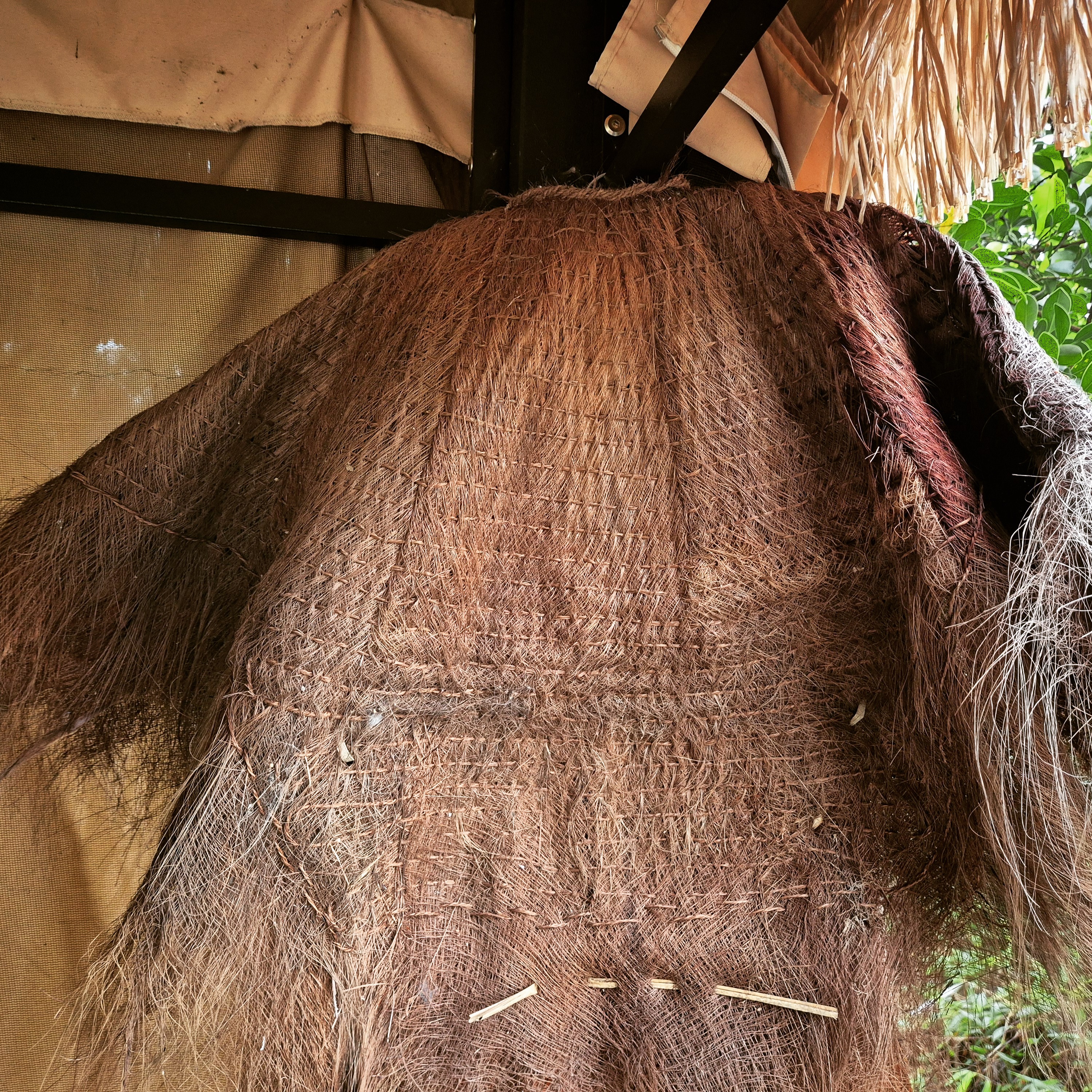 Another snapshot from our visit to China: while visiting some beautiful fishponds, I was delighted to see a traditional suoyi hanging up.
These woven palm fibre rain capes have been used by farmers and fishermen in China for over 3,000 years. Layered and woven in much the same way as a thatched roof, they are breathable, durable and windproof.
How fascinating, while working on my Viking-era "rain cloaks", to see how cultures around the world have approached wet-weather gear in different ways!
#weaver #handwoven #vikingcraft #heritagecraft #chineseweaving #suoyi