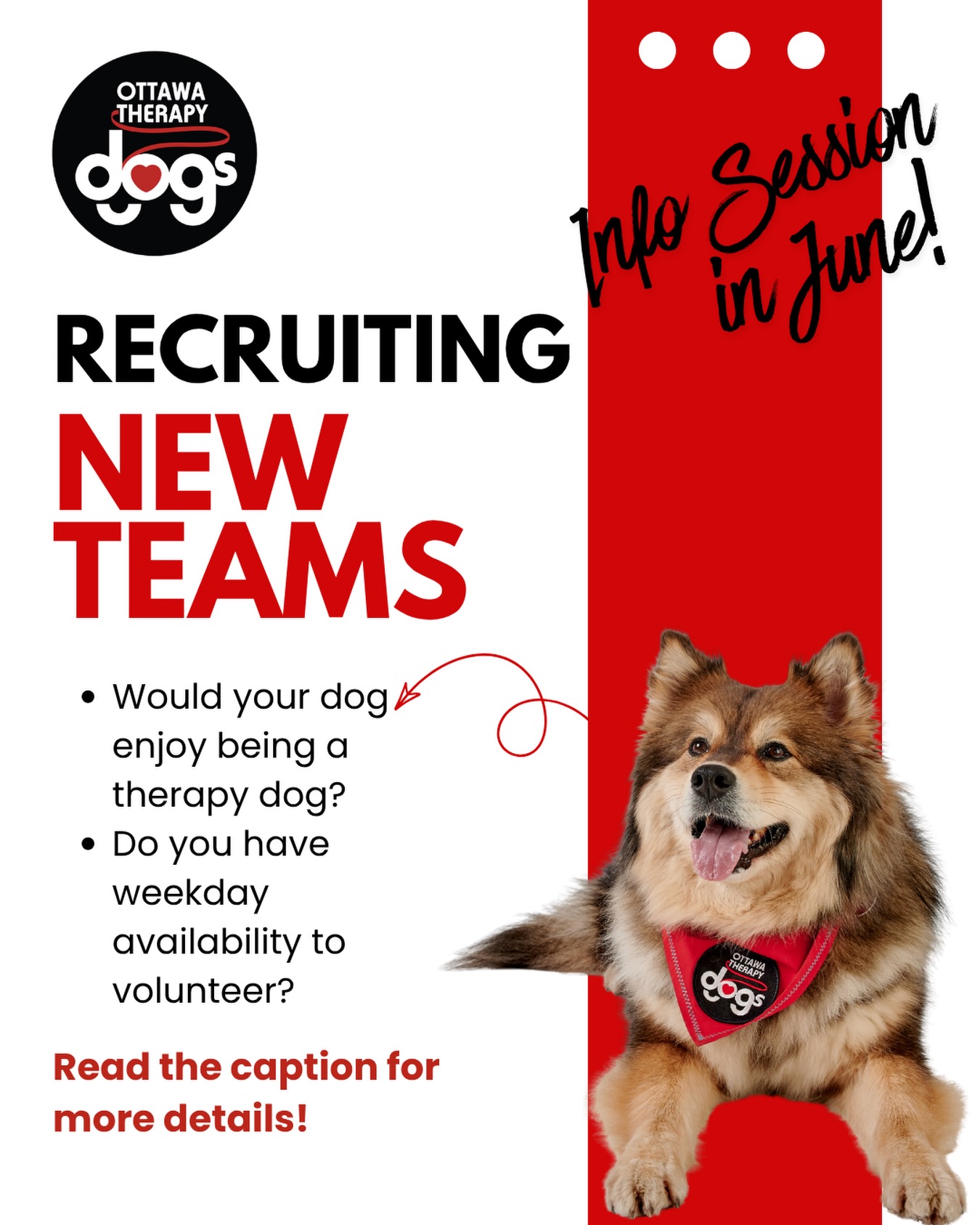 Would you and your dog like to bring some paws-itivity to your community?
Our next Information Session is coming up on June 16!
If you have weekday availability and you think your dog might enjoy being a therapy dog, please visit the link in bio to begin the preliminary steps and learn more about volunteering as a therapy dog team.
We look forward to meeting you!
(Dogs do not attend the Information Session - they get their chance to shine at the Evaluation!)