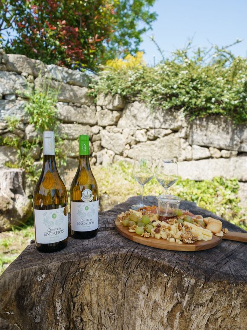 Os dias longos de verão estão a chegar… e com eles, momentos para degustar. 🍷
Sempre que o tempo convida, as provas de vinho estendem-se para o exterior, acompanhadas por tábuas de queijos, num cenário tranquilo e acolhedor.
Uma forma perfeita de aproveitar uma prova de vinhos para um convívio entre amigos ou até um encontro de trabalho, onde os bons sabores aproximam as pessoas. 😉
__
EN
Long summer days are on their way… bringing with them moments to savour. 🍷
Whenever the weather allows, wine tastings move outdoors, accompanied by cheese boards in a calm and welcoming setting.
A perfect way to enjoy a wine tasting for a gathering with friends or even a work meeting, where great flavours bring people together. 😉
#QuintaDosEncados #ProvasDeVinho #WineTasting #RegiaoDemarcadaDosVinhosVerdes