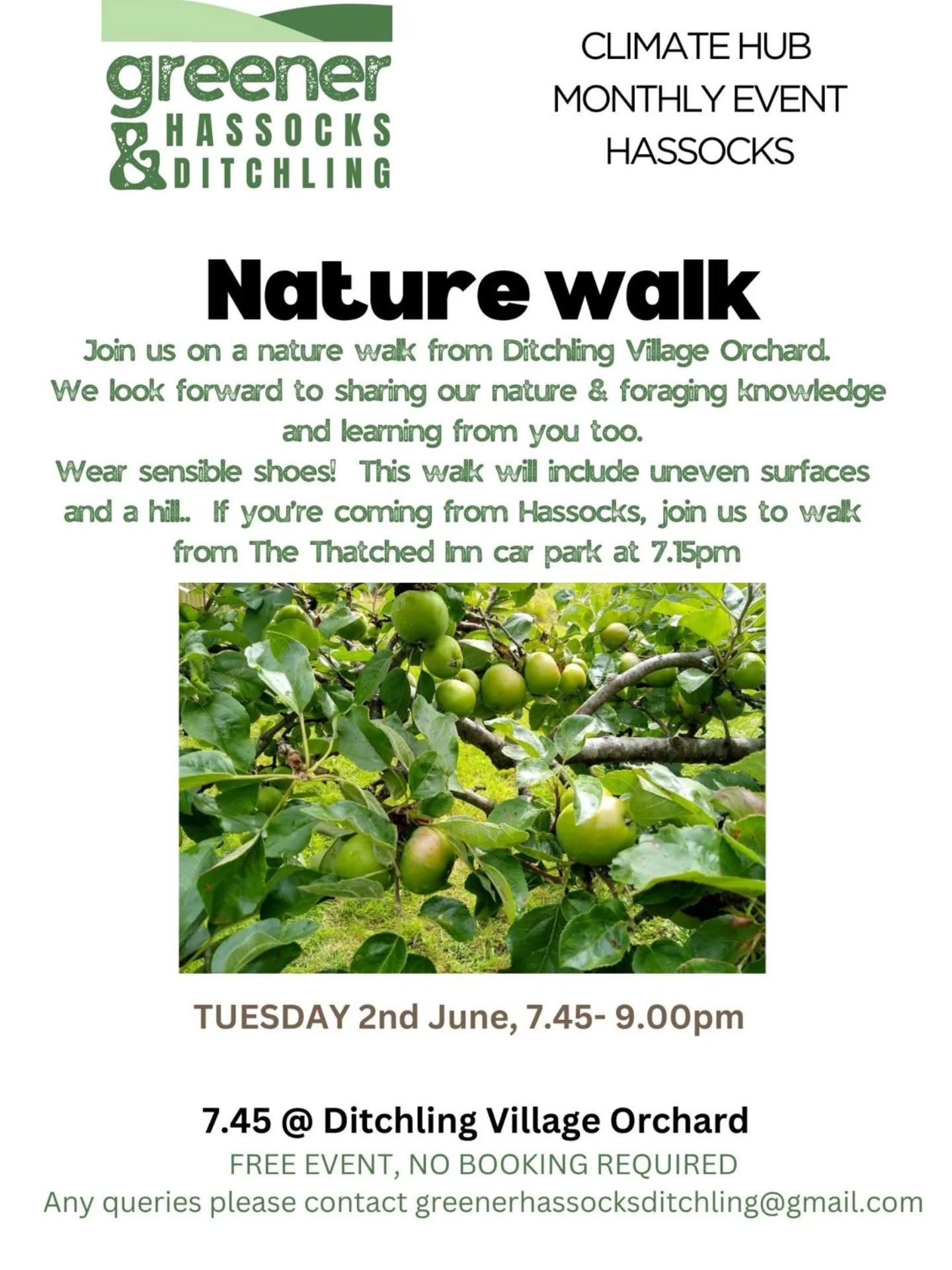 Come along to our next Climate Hub event on Tuesday 2nd June for a nature walk with some foraging along the way!🌳
We will begin in the Ditchling Village Orchard at 7.45pm and take a gentle walk up Lodge Hill in the direction of Keymer, ending at the Thatched Inn. We'll be sharing foraging knowledge of local wild flowers and herbs and celebrating the abundance of riches in the summer hedgerows. No prior knowledge needed! Bring cotton/canvas bags for gathering and sturdy walking boots.
If you are based in Hassocks and / or would like a circular walk, some of us will set off from the Thatched Inn at 7.15pm to meet up with the others in the orchard at 7.45pm.
Free event, everyone welcome. See you there! ☺️