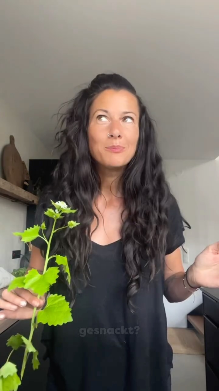 Knoblauchraukenöl 🌿✨
So einfach, so intensiv und so
Grün!
Das Öl bekommt eine wunderschöne natürliche Farbe und einen leicht würzigen, knoblauchartigen Geschmack – perfekt über Ofengemüse, Pasta, Salate oder frisches Brot!
Rezept:
Für etwa 2 kleine Flaschen:
🌱 2 große Handvoll frische Knoblauchsrauke
🌻 ca. 300 ml Sonnenblumenöl in Bio Qualität
Die Knoblauchsrauke waschen und vollständig trocken tupfen.
Anschließend mit dem Öl fein mixen, bis eine kräftig grüne Mischung entsteht.
Danach die Masse in eine Schüssel geben und in kaltem Wasserbad langsam kalt rühren. So bleibt die frische grüne Farbe besonders schön erhalten!
Zum Schluss durch ein feines Tuch oder Sieb abseihen und das klare grüne Öl in saubere Flaschen füllen.
Kühl und dunkel gelagert hält es etwa 3 Monate 🌿
Info zur Knoblauchsrauke 🌿
Eine geniale Wildpflanze!
Ihr Duft erinnert leicht an Knoblauch, ihr Geschmack ist würzig, frisch und ein bisschen scharf – perfekt für Kräuterbutter, Aufstriche, Pesto oder einfach fein über Salate gestreut.
Die jungen Blätter schmecken am besten und haben es auch in sich!
✨ reich an Vitamin C
✨ enthält Senfölglykoside & Bitterstoffe
✨ kann antibakteriell und stoffwechselanregend wirken
Ich liebe so einfachen Rezepte, du? 🤍
Viel Spaß beim ausprobieren!
#Alles Liebe, deine Meli mint
Knoblauchsrauke #Wildkräuter #Kräuterwissen #EssbareWildpflanzen #rezept