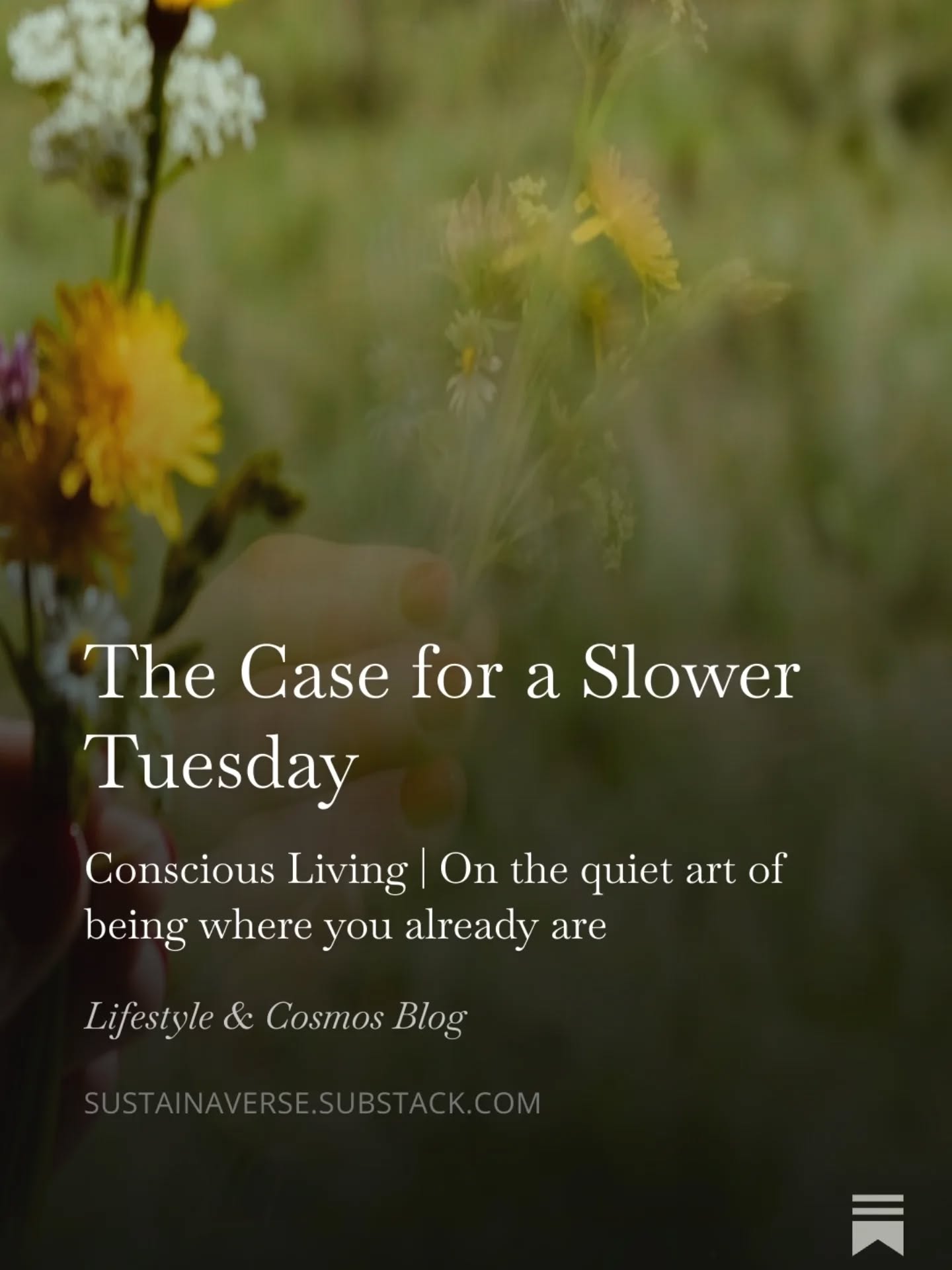 #consciousliving
The unremarkable Tuesday afternoons when nothing is scheduled and the light comes through a window at an angle you have never quite noticed before — these are not the spaces between the life, they ARE the life, and the habit of treating them as waiting rooms is one of the quieter forms of loss available to a modern person.
Read the full article on our Substack (Lifestyle and Cosmos Blog).
Which part of your day do you actually slow down in?