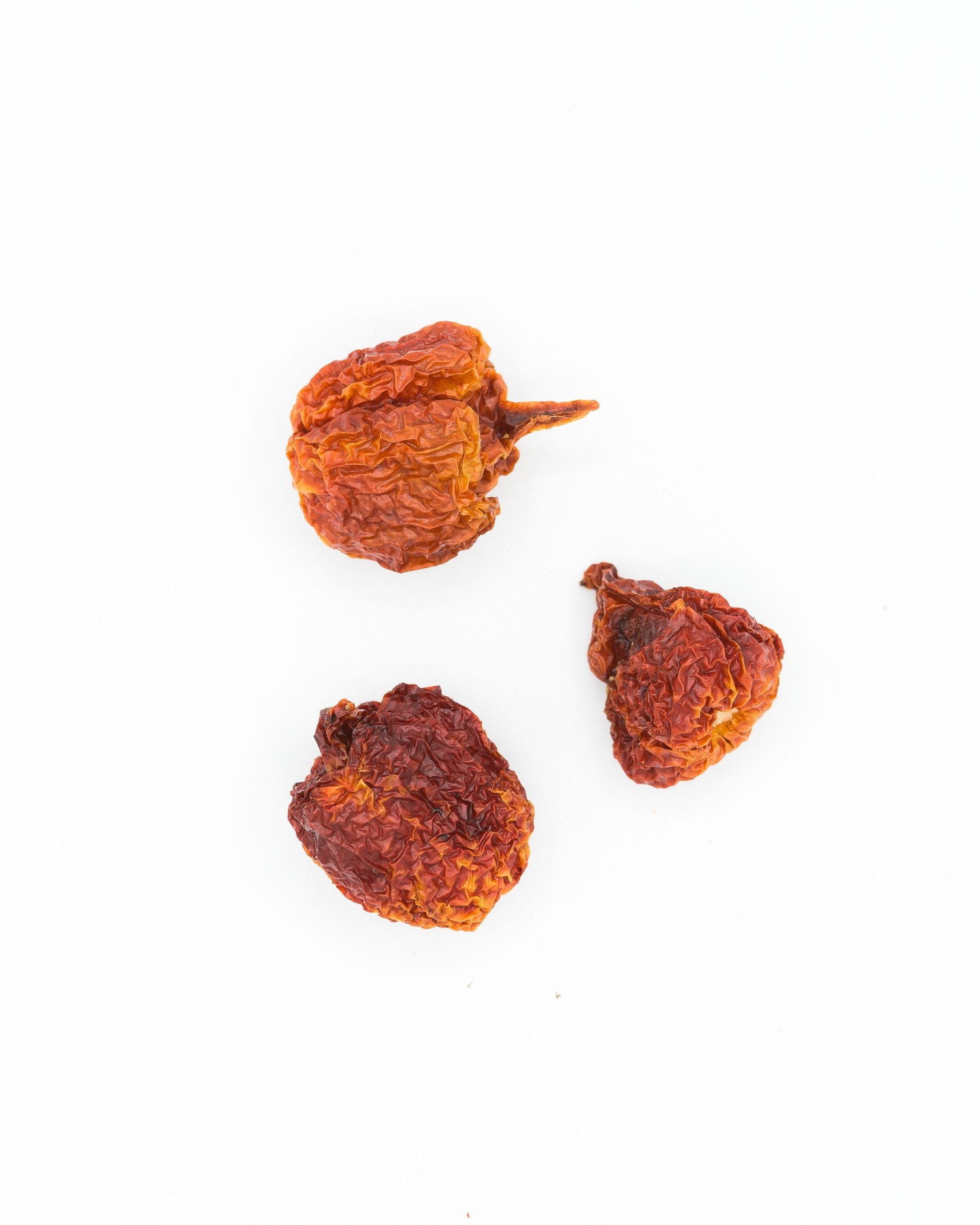 𝐓𝐫𝐢𝐧𝐢𝐝𝐚𝐝 𝐒𝐜𝐨𝐫𝐩𝐢𝐨𝐧 𝐂𝐡𝐢𝐥𝐢 - Native to Trinidad & Tobago, the Trinidad Scorpion is one of the hottest peppers in the world packing over 1.2 million Scoville Heat Units, this legendary chili delivers an intense, lingering heat that has made it famous among spice lovers everywhere. 🔥🦂