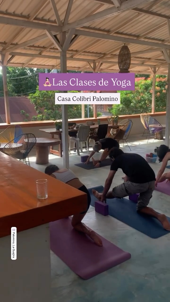 ✨🧘♀️Cada mañana comienza con un toque más suave en Casa Colibrí Palomino.
Nuestras clases de yoga son gratuitas para todos los huéspedes: una forma tranquila de despertar el cuerpo, estirar después de las aventuras, respirar profundamente y conectar con la energía serena de Palomino.
Tanto si eres principiante como si ya tienes experiencia, ¡todos son bienvenidos! 🌿🐈☀️
✨🧘♀️Every morning begins a little softer at Casa Colibri Palomino.
Our yoga classes are free for all guests — a peaceful way to wake up the body, stretch after adventures, breathe deeply, and connect with the calm energy of Palomino.
Whether you are a beginner or already practicing, everyone is welcome to join 🌿🐈☀️
#YogaEnPalomino #MorningYoga #YogaParaTodos #TravelAndYoga #colombiatravel