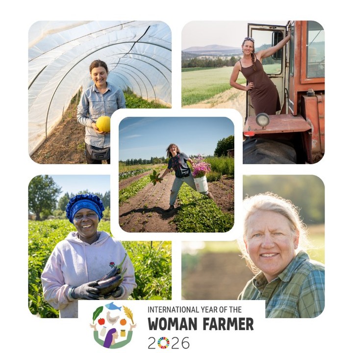 Our May newsletter is out and should be in your inbox now 🌱
This month, we’re talking about women in farming, what “organic” really means, and why so many CSA farms are doing work that goes far beyond certification standards. We’re also sharing a spring onion & shiitake frittata recipe to celebrate the start of CSA season.
Not on our newsletter list yet? Sign up through the link in bio.
#PNWCSA #CommunitySupportedAgriculture #CSA #LocalFood #WomenInAgriculture #WomenFarmers #EatLocal #SupportLocalFarms #PacificNorthwest #OregonFarms #WashingtonFarms #SeasonalEating #FoodSystems #RegenerativeAgriculture
