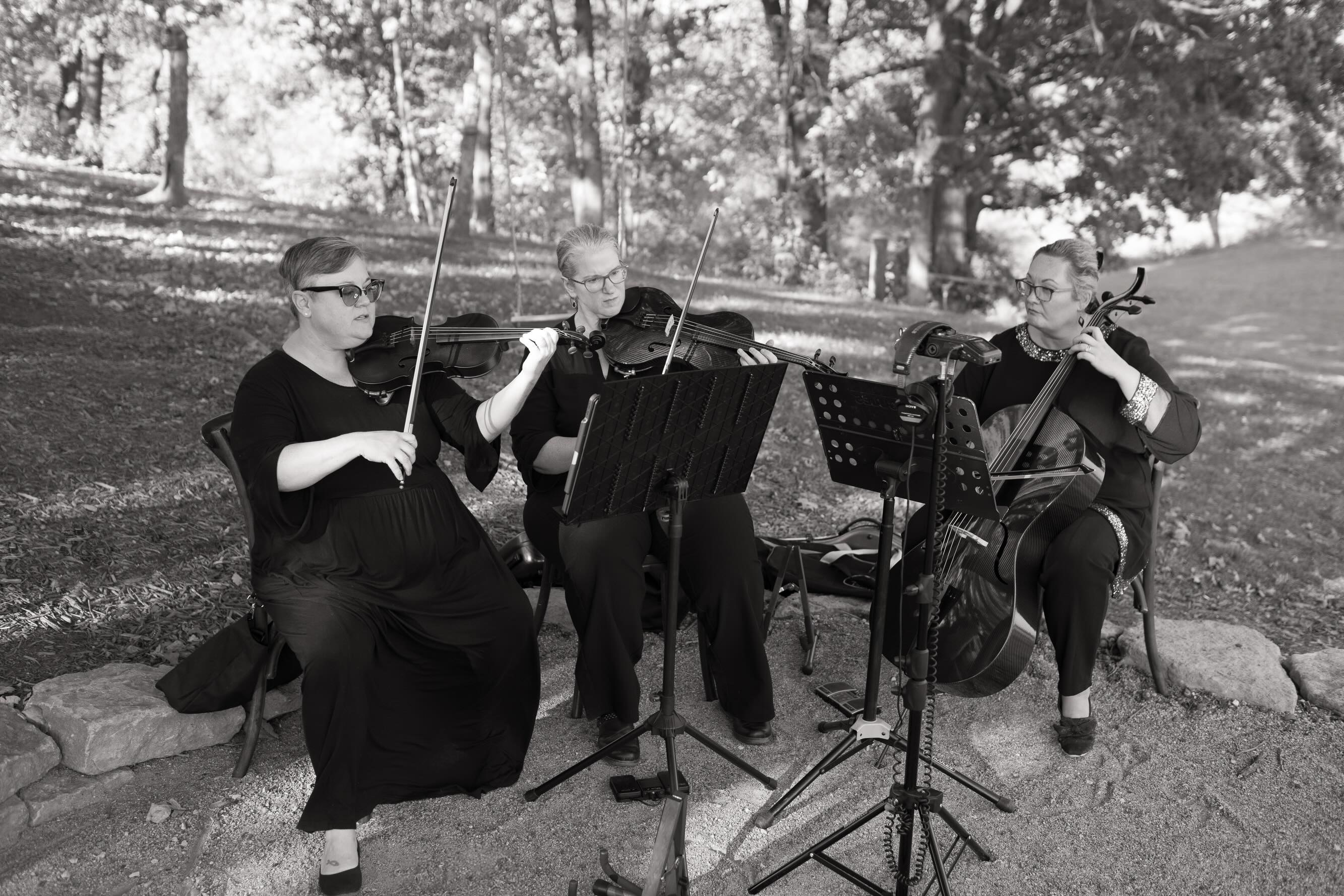 Yes we can work with instrumentalists! Let us know what plugins and mics they might need and let help you create the perfect experience for ceremony and/or reception!
-
@wildhillflowers
@wed.kansascity
@_waldron_
@hellolovelykc
@brancatoscatering
@thebarnatriverbend
@bridalpathweddingsandevents
@katies.kennel
@_malibooth
@alphalitkc
-
#weddingday #instrument #instrumentalists #violin
Dj, production, lighting, hello, violin