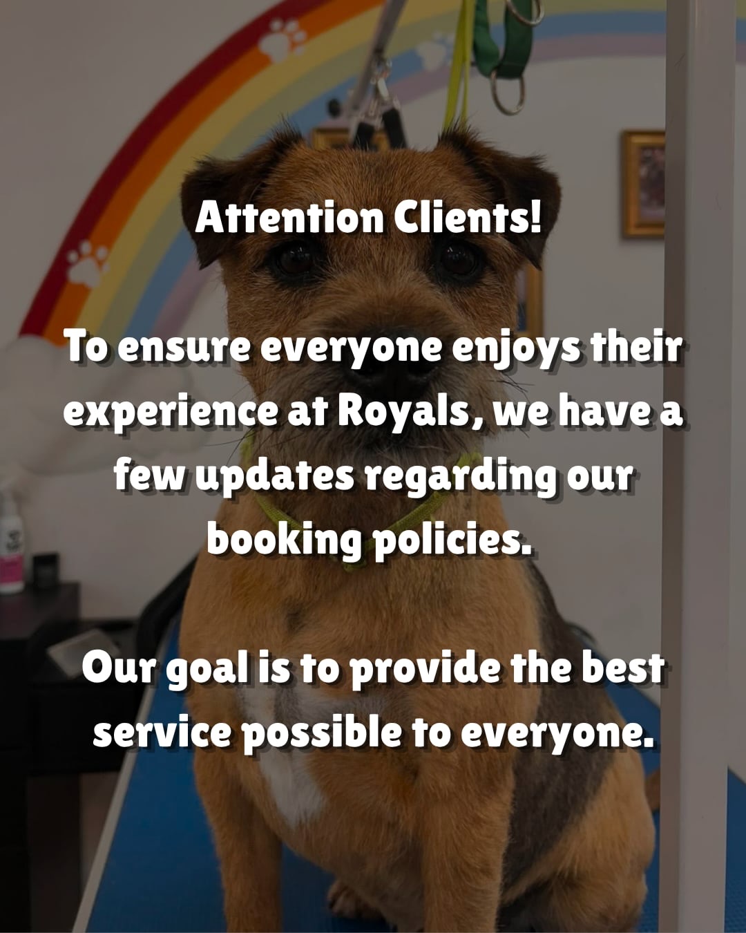 Attention Clients! 📣
To ensure everyone enjoys a seamless and relaxing experience, we have a few reminders regarding our booking policies. Our goal is to provide the best service possible to everyone.
⏰Punctuality: Please aim to arrive at your scheduled time (and no more than 5 minutes early unless we have called for you). This helps us maintain a calm, private environment for everyone. We may ask you to wait outside if you’ve arrived early or when our reception area is busy.
⏳The Grace Period: We offer a 10–15 minute grace period. Beyond this, we may need to reduce your service or reschedule your session to stay on track for the day and charges will be applied. Please arrive on time!
📆Cancellations & Rescheduling: We require 48 hours’ notice for changes. If we can fill your spot from our waiting list, any late-cancellation fees will be waived!
🚫A Note on No-Shows
We have a very active waiting list of clients hoping for an opening. When an appointment is “no-showed,” that time is wasted, and another client misses out. Therefore, No-shows will incur a 100% service fee. All future appointments will be automatically cancelled and booking privileges will be suspended until the outstanding balance is settled.
We truly value your time and appreciate you valuing ours. Thank you for being such an amazing community and helping us keep our doors open and our schedule smooth! ✨
🌐www.royalsdoggrooming.uk/terms-and-conditions