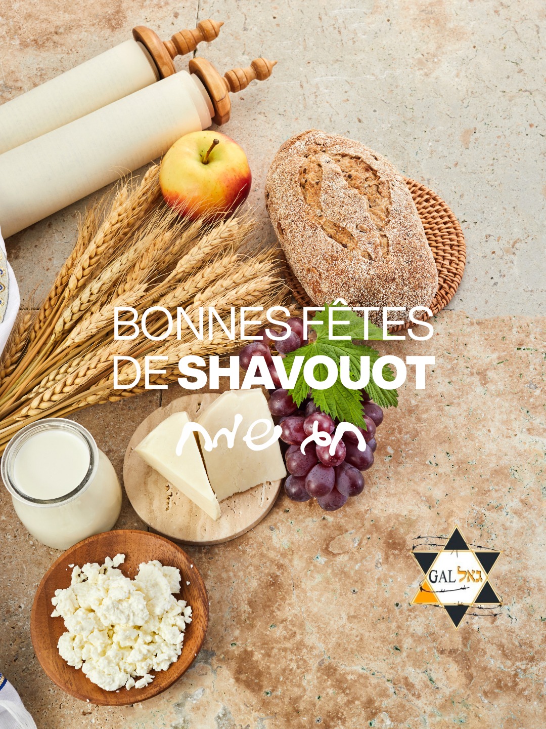 À l’occasion de Chavouot, continuons à faire vivre la solidarité et la dignité auprès des survivants de la Shoah en Israël. 🌾💙
Chaque visite, chaque aide, chaque geste compte.
Parce qu’aucune fête ne devrait être vécue dans la solitude.
Merci à tous ceux qui soutiennent nos actions au quotidien.
חג שבועות שמח ✨
👉 amutagal.com
#Shavouot #Solidarité #AmutaGAL #Israël #SurvivantsDeLaShoah