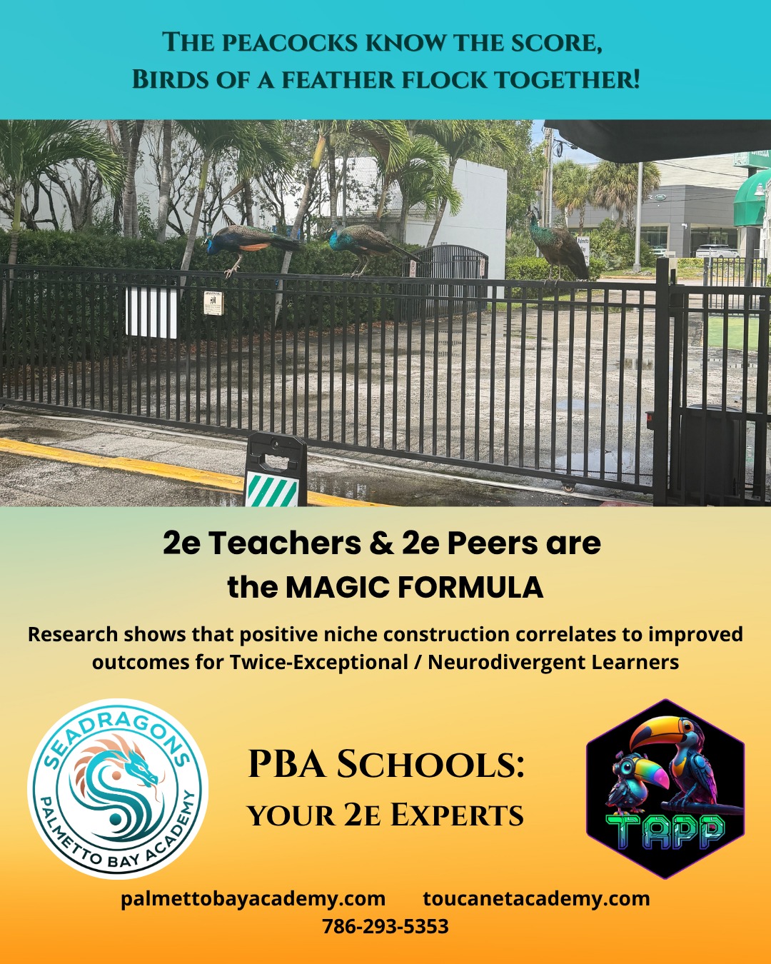 Why do 2E/Neurodivergent learners thrive at PBA Schools? Positive niche construction and teachers that are 2E/Gifted themselves!