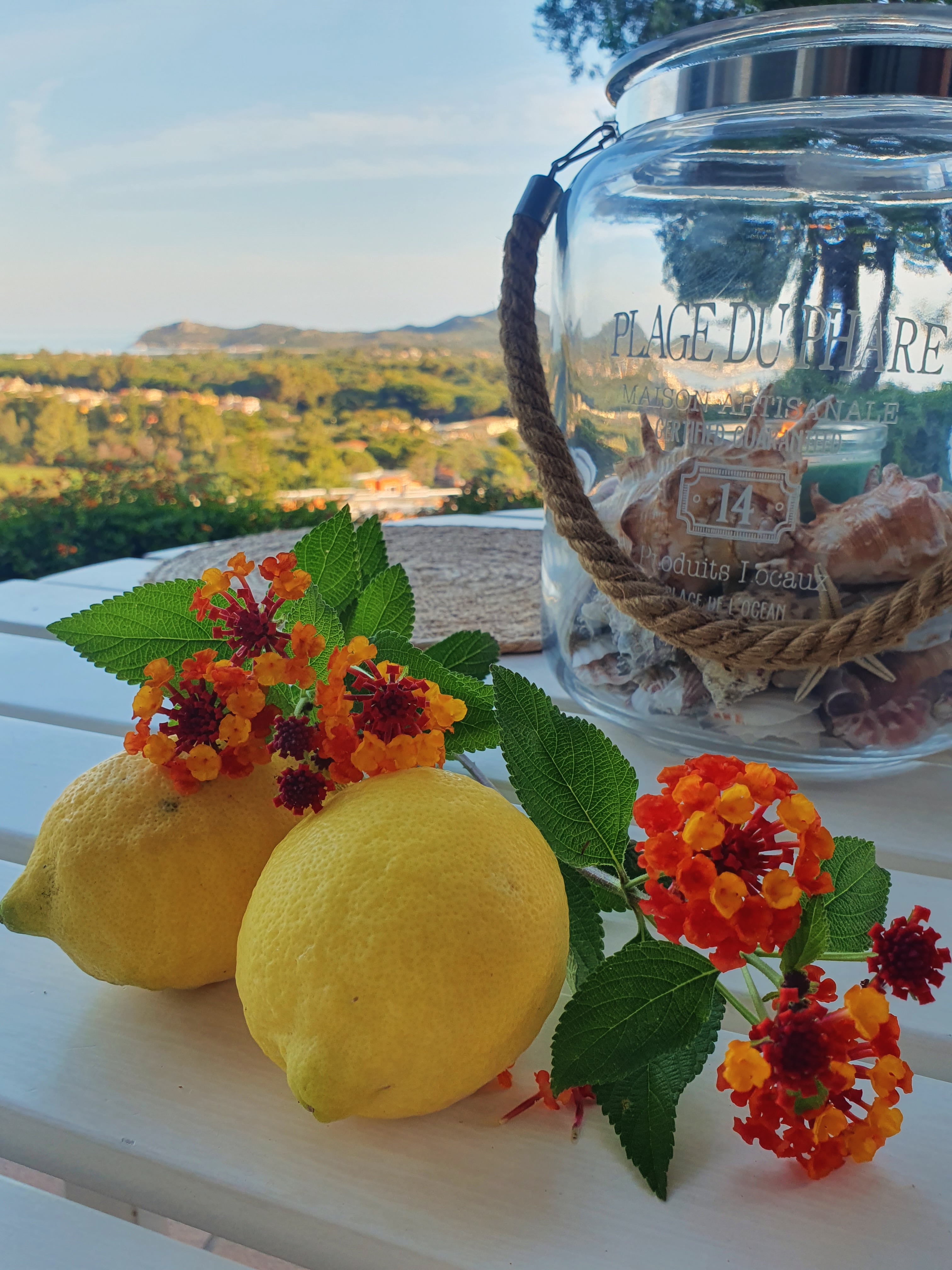 Citrons 🍋 maison ♥️100% Bio 🇮🇹