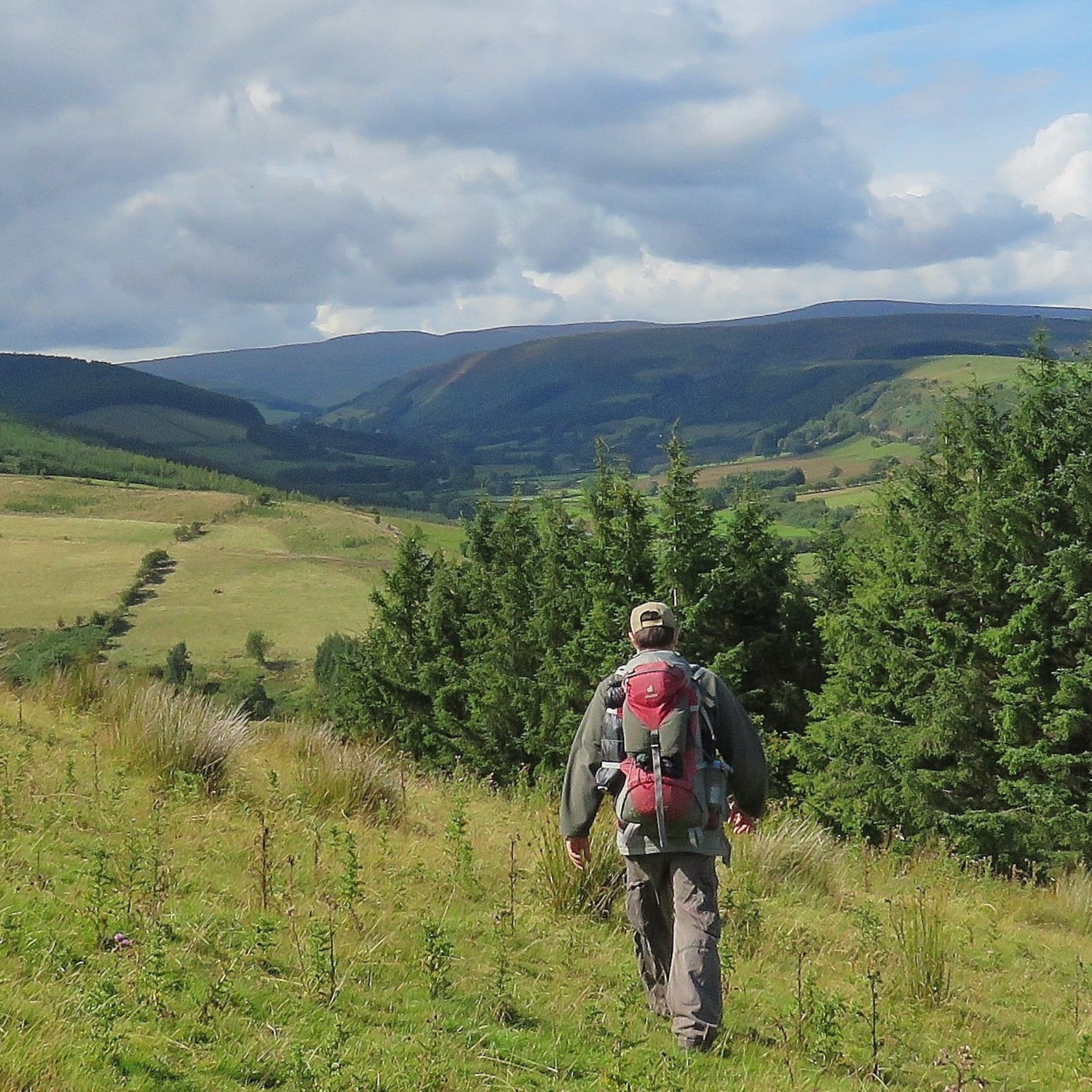 Just a few photos from trips to the Upper Wye and Wye Valley Walk. We've done things differently from the official Wye Valley Walk - we've actually started at the source. Over the next few weeks, I'll be sharing some more from off the trail. It's a fantastic trail. Most associate it with some middle-class affair, but it is, in fact, varied, impressive, beautiful, gnarly, wondrous and a decent length at 136 miles. Here in the first photo, we're walking to the source and then back again. Plynlimon rises like an archetypal mountain in the middle of the valley. This view is off Esgair Llwyn-Gwyne, just outside of LLangurig if interested. #wye #wyevalley #wyevalleywalk #longwalks #rivertrail #riverwalks