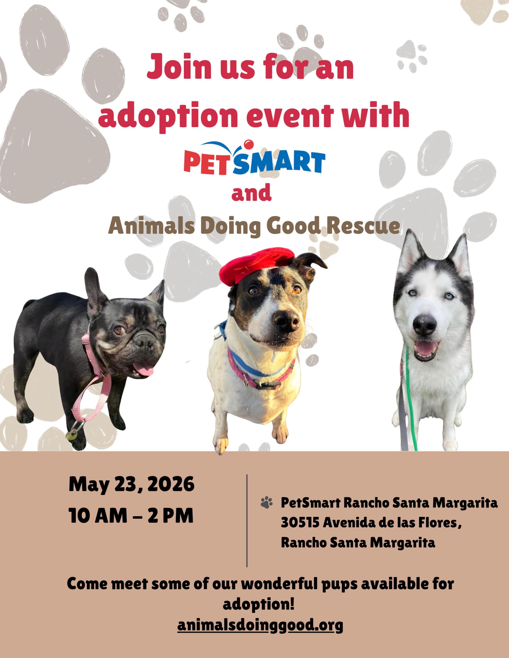 Looking for something fun to do this Saturday? Come visit us at PetSmart in Rancho Santa Margarita and meet some of our sweet rescue pups searching for their forever families! 🐾
We’ll have some amazing dogs there who would love to meet you. Whether you’re ready to adopt or just want to stop by, say hello, and support our rescue, we’d love to see you! 🤗
🐾 Saturday, May 23rd
🕙 10:00 AM – 2:00 PM
📍 PetSmart Rancho Santa Margarita
30515 Avenida de las Flores, Rancho Santa Margarita, CA
You never know…your perfect match might just be waiting for you. 🫶🏽
