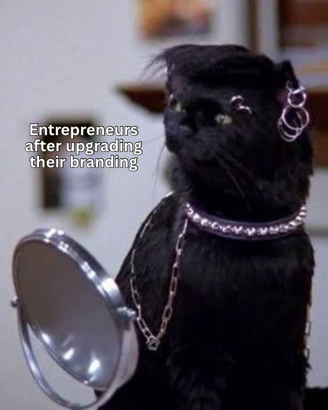 Sometimes I have to switch up how and what I am creating to reignite fresh ideas. Decided to combine my love of og Sabrina the Teenage Witch and design by making these memes🔮 Which is your favorite?
Love you @melissajoanhart