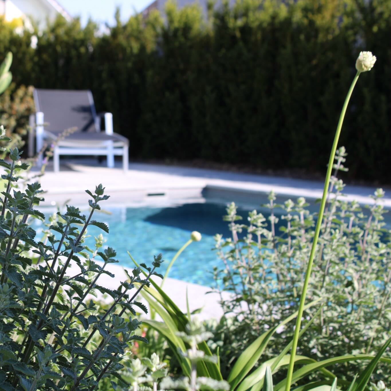 Ein Garten zum Ankommen und Abschalten 💧🌿
Die Kombination aus klaren Linien, ruhigem Wasser und natürlicher Bepflanzung schafft eine Atmosphäre, die jeden Aussenbereich besonders macht.
Gerade die feinen Details machen den Unterschied, von den präzisen Abschlüssen bis zur abgestimmten Materialwahl mit @mattli_naturstein bis zur harmonischen Umsetzung gemeinsam mit @gaertnerei.schwitter .
🌱 Gartentipp: Unterschiedliche Pflanzenhöhen rund um den Pool bringen mehr Tiefe und lassen den Garten natürlicher und lebendiger wirken.
#tollegaerten #gartenbau #poolgarten #gartendesign #naturgarten wasserimgarten garteninspiration pooldesign schweizergarten modernergarten