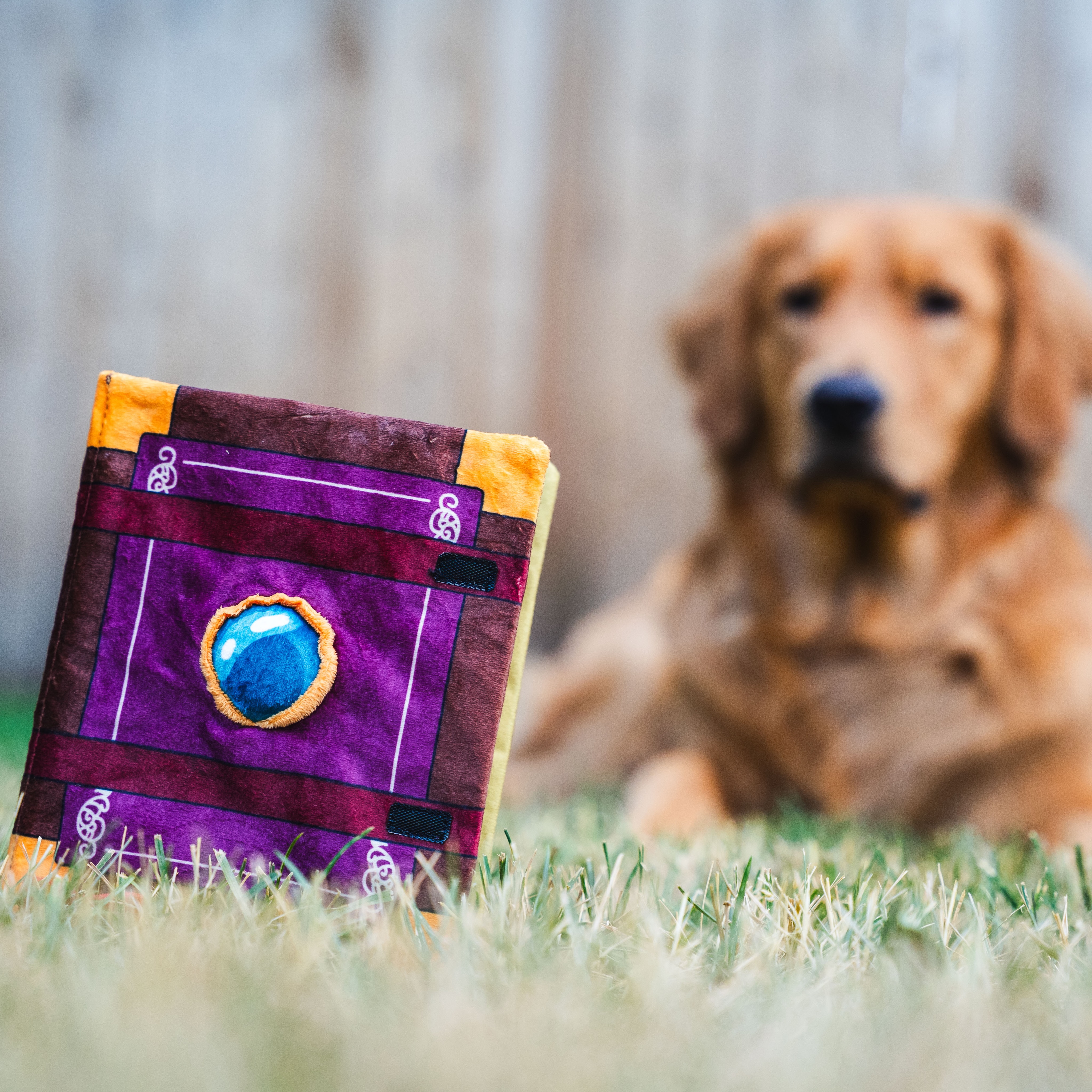 A Wizard’s Spellbook is full of their spells, prepared or not, but what would your familiar stock? Maybe Friends to convince someone for a treat or Mage Hand to scratch their own ear?