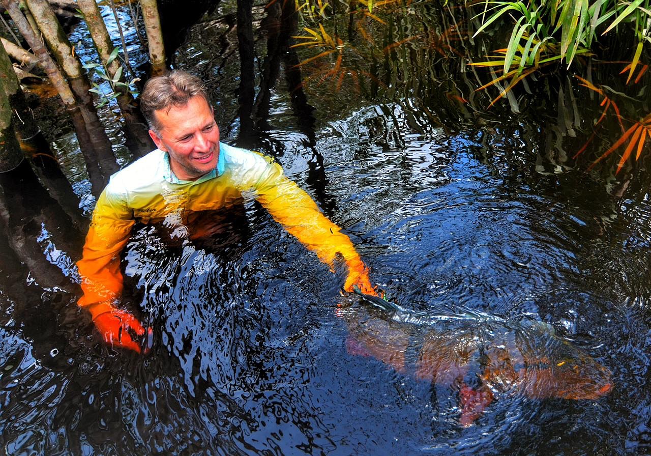 Que registro!
Contagem regressiva para Old Bait iniciar temporada amazônica:
60 dias para @riomarieflyfish . Um sonho.
Quer vivê-lo conosco? 4 vagas apenas, para 2027.
Foto enviada e cedida gentilmente por nosso irmão @vinipfu , momento em que seu irmão Victor libera um gigante açu de volta ao seu lugar.