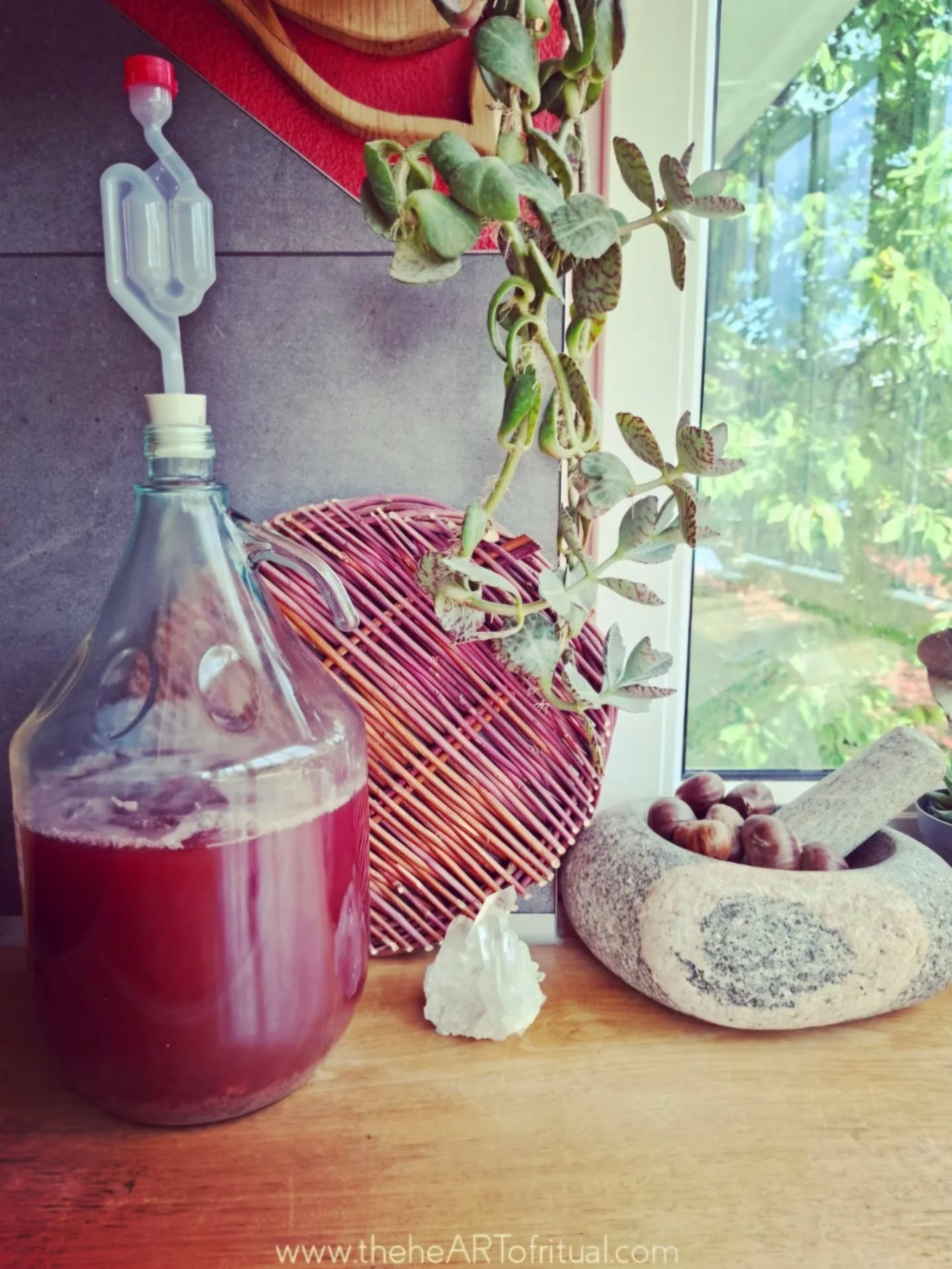 Last Samhain, while gathering sloes from the blackthorn thicket near the stone circle behind my father’s house, I already knew I would make this mead.
The berries waited through the dark half of the year until Bealtaine arrived once more. What I did not expect was that the whitethorn I planted from seed ten years ago would flower for the very first time on astronomical Bealtaine itself. So blossoms from that tree became part of the brew.
Into it went rowan flower and elderberry gathered here in the garden, bilberries, blueberries, blackberries, rosehips, and juniper gathered high in the Alps above the cloud line, along with mugwort, sweet woodruff, daisy, and five protective thorns. The honey was the final jar of hawthorn blossom honey made by bees feeding almost entirely on hawthorn nectar.
There is something of the Wheel held within the mead – sea level and mountain, valley and sky, blossom and dark berry gathered together across the turning of the year. All going well, it will travel with me to West Cork this October for this year’s Elements of Being™ retreat.
I am from this place, Cailleach country. I know these shorelines, weather systems, mountains, silences, stories, and thresholds intimately because they have shaped my life since childhood. The gathering takes place here deliberately during the season of An Chailleach Bhéarra herself, as the old year dies back and the long turning toward winter begins.
Held as a primarily silent retreat, the week moves slowly and spaciously. Nothing is asked of people beyond arriving as they are. Over the years there have been moonrise sea kayaking journeys around the islands of the bay, basket weaving by the fire, salmon skin tanning while listening to the selkie myths, evenings at local set dancing gatherings, soda bread baking in the kitchen, cultured butter worked slowly by hand, candlelit evenings listening to live traditional Irish music while weather pressed against the windows, and long stretches of comfortable silence where very little needed to be said at all.
Join me in person:
October 23 - 30, 2026
Beara Peninsula, West Cork, Ireland
Full details:
theheARTofritual.com/elementsofbeingretreat