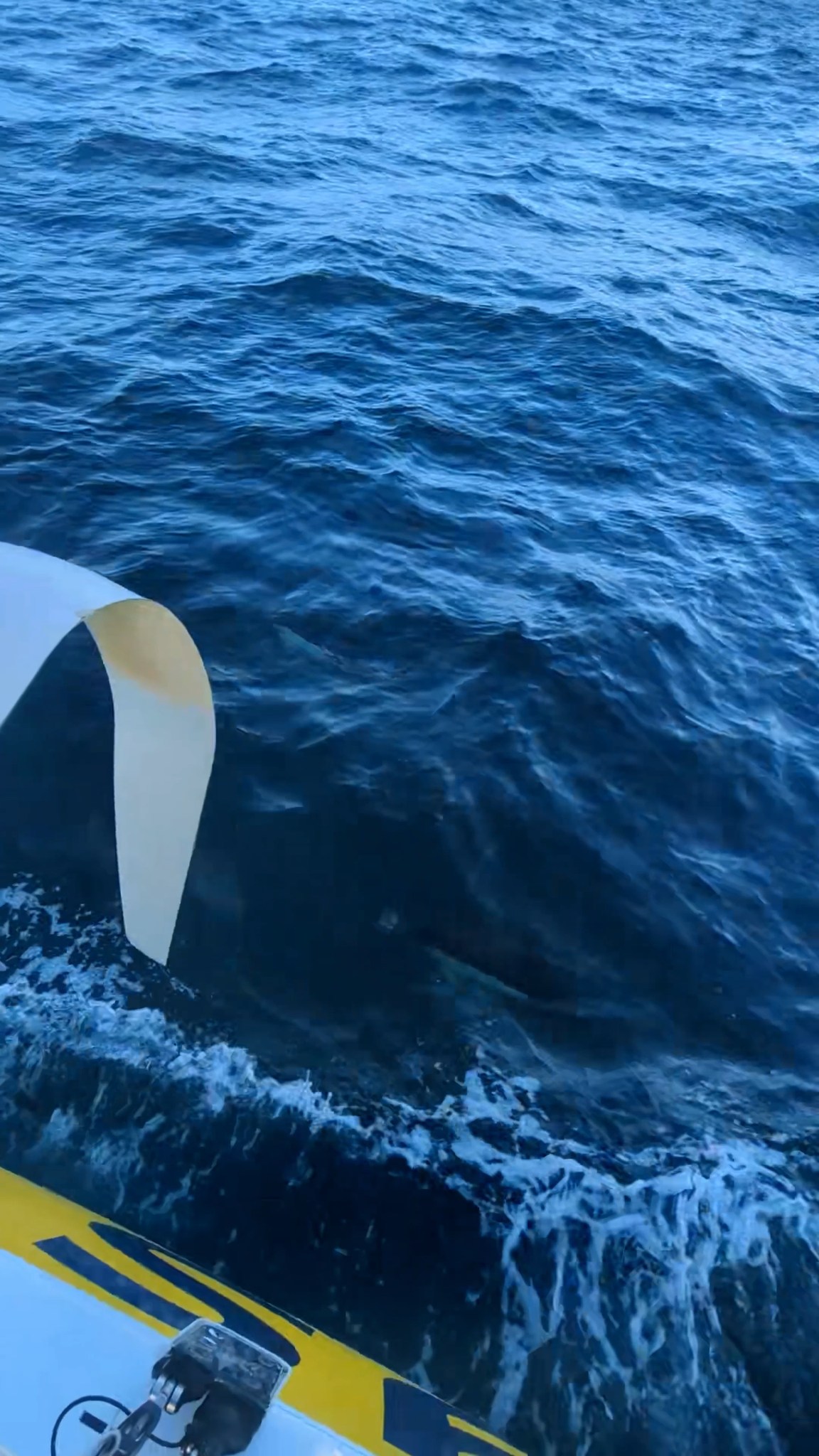 En approche de l'Espagne 🇪🇸
Le ciel devient enfin bleu, les dauphins sont là, mais ce n'est pas pour autant que c'est le relâche après 3 jours extrêmes. Il va y avoir du match jusqu'au bout !
🎥 Falcone Production / La Solitaire du Figaro
#IciNaissentLesLégendes #LaSolitaire
