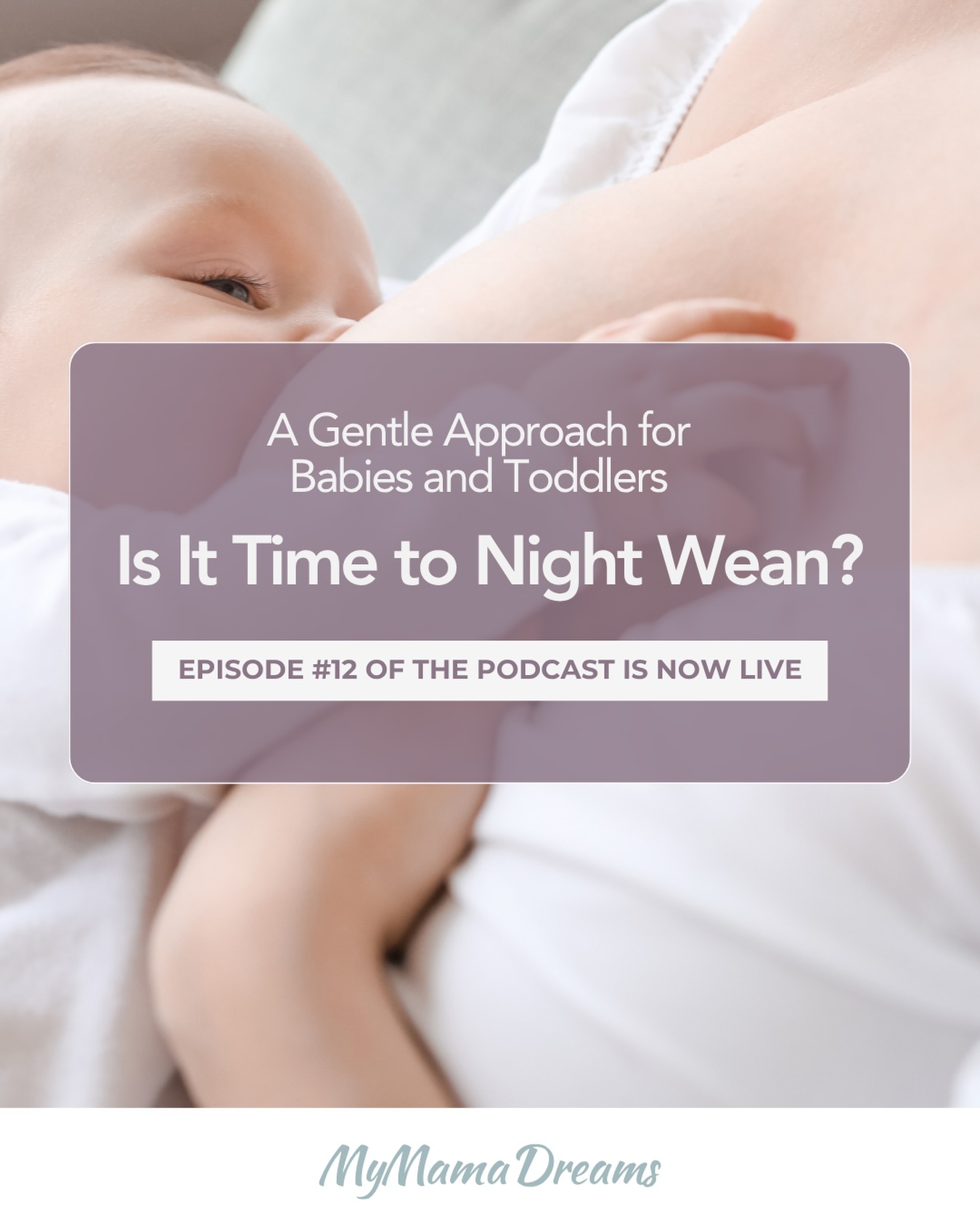 Night weaning can feel very emotional ✨
Especially when part of you feels ready for more sleep… while another part isn’t ready to let go yet 🤍
In Episode 12 of my podcast, I talk about when night weaning may be appropriate, what’s developmentally normal, and how to approach this transition in a calm and supportive way.
🎧 Find the link in my bio
✨ Join the upcoming Gentle Sleep Solutions Workshop (Link in bio).