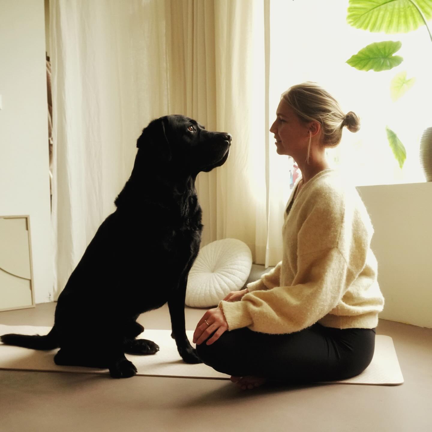 Dagje vrij = yoga, een goed boek, knuffels van m’n trouwe assistent en even helemaal niks moeten 🧡 🎞️✨