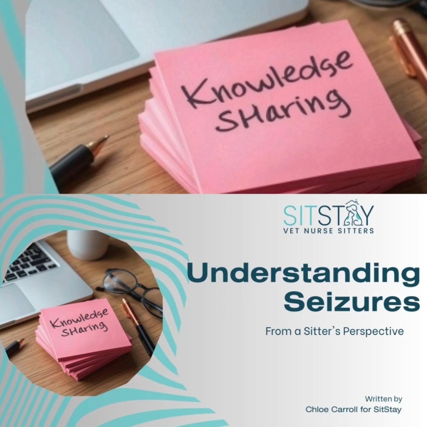 A huge thank you to Angela and her amazing team for hosting such an insightful seminar on seizures in pets. 🙏🐾
As pet sitters, continuous learning is essential. Understanding how to recognise and respond calmly in situations like seizures helps us provide safer, more professional, and compassionate care to the pets entrusted to us.
We are proud to keep evolving, expanding our knowledge, and improving our services for both our furry clients and their families. 💙
#knowledge #knowledgesharing #seizures #seizuresinpets #petsitting