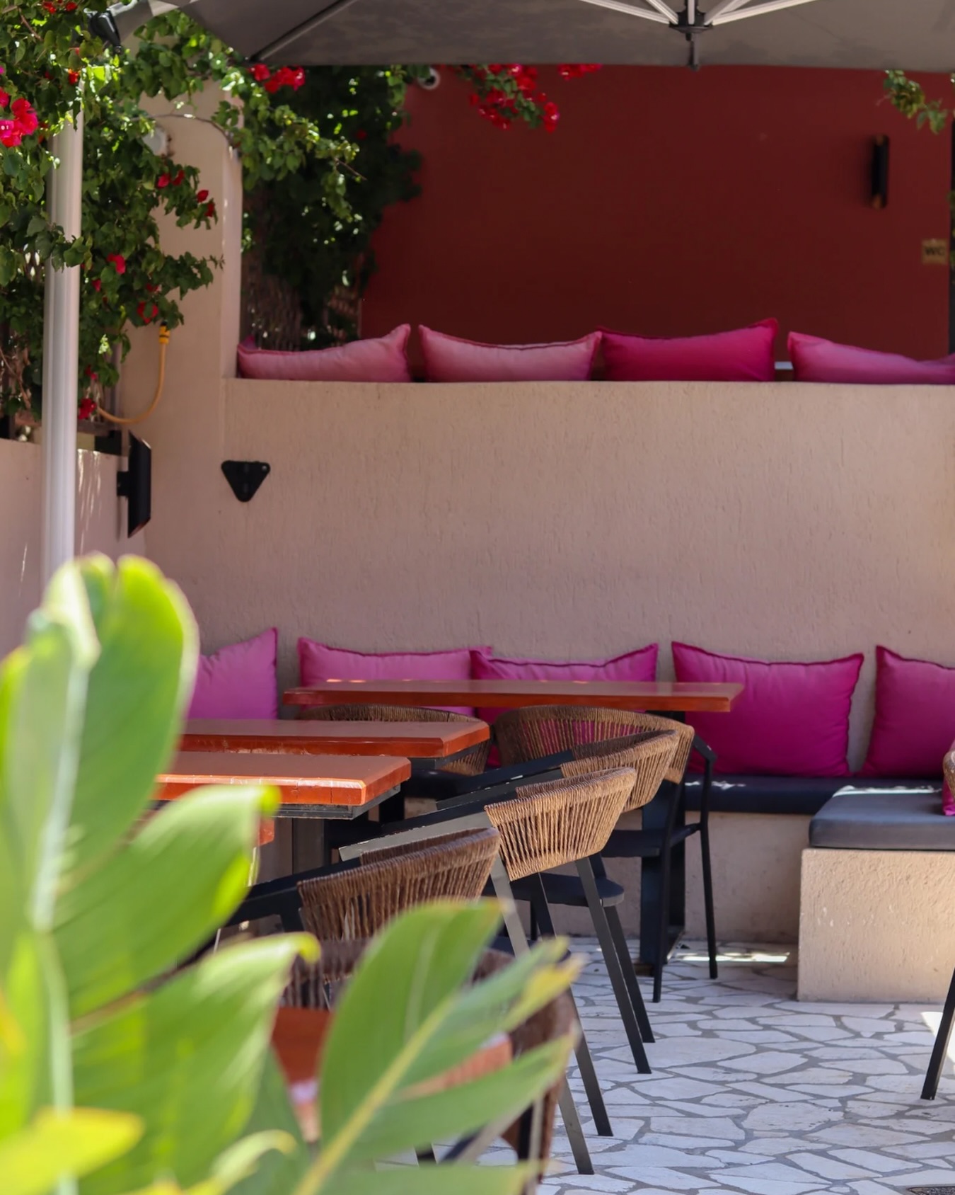 A little corner of summer, hidden in the heart of Kefalonia. 🩷
Great drinks, relaxed vibes, and beautiful moments await at 3 Wise Monkeys. ☀️
#3wisemonkeys#restaurant#bar#assos#kefalonia
