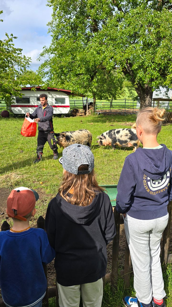 ʙᴏɴ ᴘʟᴀɴ ᴠᴀɴʟɪꜰᴇ ℹ️👇🏻🇨🇭🌿
__________________________________
On me dit souvent que la vanlife en Suisse est trop compliquée, trop réglementée 🤔 mais il suffit de connaître les bonnes astuces ! 🤗✅️
╰┈➤ˎˊ˗ Avec @placetobee.travelguide, tu peux te mettre en relation super facilement avec des producteurs qui te permettront de passer la nuit sur leur exploitation 🚐🚜 en échange de quelques achats dans le shop du domaine 🧺🥕🍇
╰┈➤ˎˊ˗ Comment ? Il te faut souscrire un abonnement PlaceToBee (CHF 74.-) qui te donnera accès à tous les accueillants durant 1 an ! Et j'ai un code réduction 🤗 dis-moi en commentaire si tu le veux et je transmets!
╰┈➤ˎˊ˗160 destinations idylliques en pleine nature, en Suisse et en zones frontalières 🦆🌱🌾Des espaces vastes parfaits avec des enfants et même les chiens 🐾 (chaque accueillant fixe ses conditions)
On a eu un énorme coup de coeur pour cette ferme de permaculture qui abrite des cochons, des émeus, autruches et même des kangourous 🦘✨️ Les garçons étaient absolument fans ! Il s'agit de l'emplacement #208
Alors tu connaissais ce concept de camping à la ferme ? 🐝🌸🚐
⛺️🚫 Attention les tentes au sol sont interdites, il est nécessaire d'avoir un van, fourgon, camping-cars ou tentes de toit !
PlaceTooBee | Vanlife | Expérience famille
*c o l l a b o r a t I o n c o m m e r c I a l e