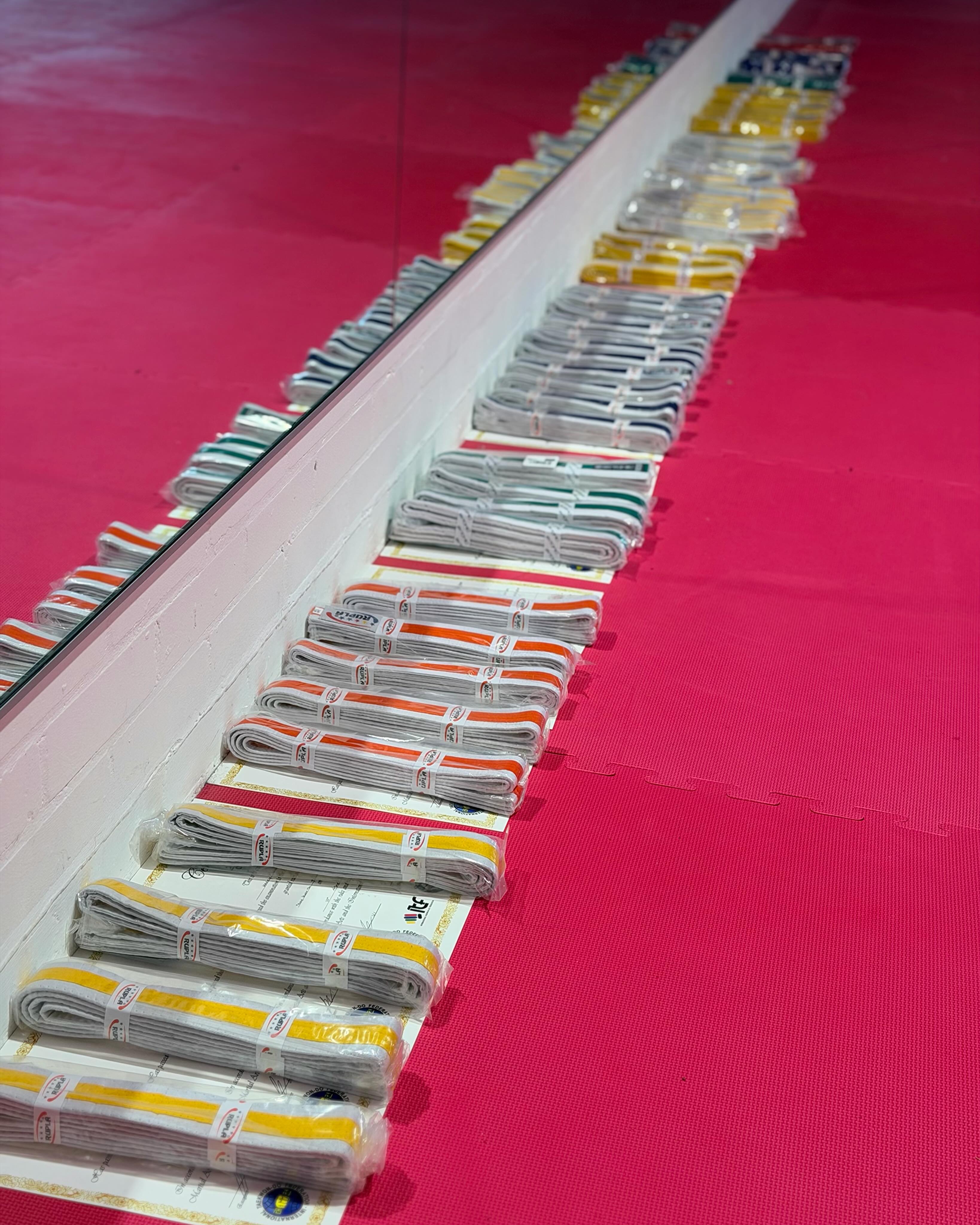 New belt week at WMA!
#taekwondo #worcester #droitwich #malvern #martialarts