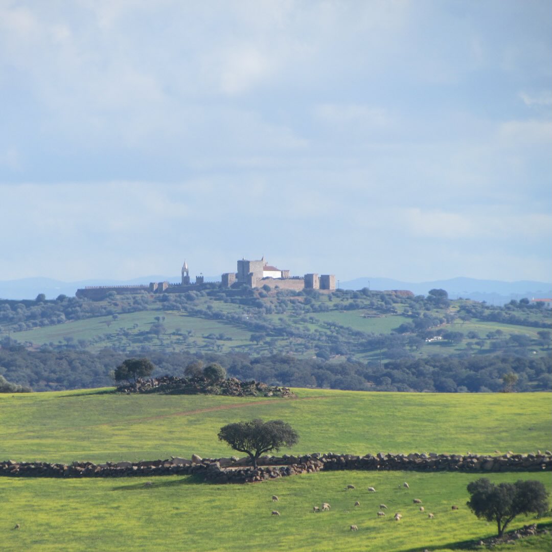 O Alentejo é um território vasto, situado no sul de Portugal e a sua baixa densidade populacional torna-o o local perfeito para usufruir da Natureza. Oferece paisagens únicas onde pode encontrar planície, planalto e serra, animais e vegetação única, e ainda uma herança cultural importante e tradições antigas que ainda são praticadas. Para dar a conhecer o que melhor temos no Alentejo foram criados percursos terrestres ao longo de todo o território, incluindo junto à vila medieval de Monsaraz.
Faça sol ou chuva, o mais importante é ir. É fácil: um passo após o outro e ganhamos tempo para absorver a natureza e a história de cada local.
No final do dia, aproveite para relaxar no nosso jacuzzi exterior, usufruir do pôr do sol e retemperar forças para a próxima aventura. De que está à espera?
The Alentejo is a vast region located in southern Portugal, and its low population density makes it the perfect place to enjoy nature. It offers unique landscapes featuring plains, plateaus, and mountain ranges, as well as distinctive wildlife and vegetation, along with a rich cultural heritage and ancient traditions that are still practiced today. To showcase the best of the Alentejo, walking trails have been created throughout the region, including near the medieval village of Monsaraz.
Rain or shine, the most important thing is to go. It’s easy: one step at a time, and we take the time to absorb the nature and history of each place.
At the end of the day, take the opportunity to relax in our outdoor hot tub, enjoy the sunset, and recharge your batteries for the next adventure. What are you waiting for?
i: www.transalentejo.com
i: www.montimerso.pt
I: www.montimerso.pt/guia-de-trilhos-para-hiking
Local: Montimerso, Monsaraz
#transalentejo #montimerso #monsaraz #enjoynature #hiking
