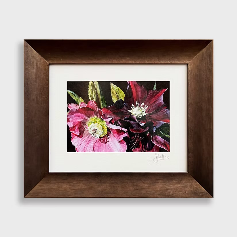 A Sarah Caswell hellebore — given the space it deserves. 🌸
If you don’t know her work yet, you should. @sarahcaswellpaintings is based just up the road in Great Walsingham, painting big, bold floral portraits that absolutely glow.
We framed this one in a wide, brushed bronze-toned wooden moulding (swipe to see the detail — the grain and warm sheen catch the light beautifully) with a generous white mount and a slim black inner edge for a sharp gallery finish. Small painting, huge presence.
📍 Norwich | Free parking | Open 7 days
☎️ 01603 622282
#norwichframingcentre #bespokeframing #sarahcaswell #norfolkartist #customframing
